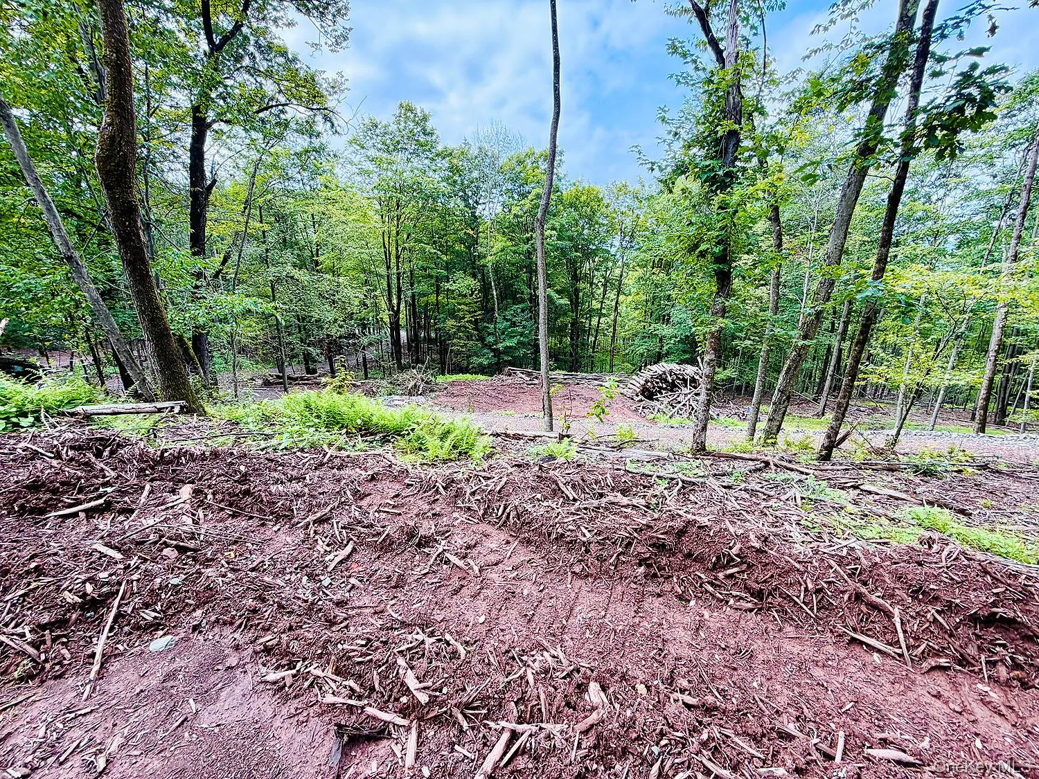 00 Hammer Road, Fremont, NY, ,Land,For Rent,Hammer,0,1046551 00 Hammer Road, Fremont, NY, ,Land,For Rent,Hammer,0,1046551
