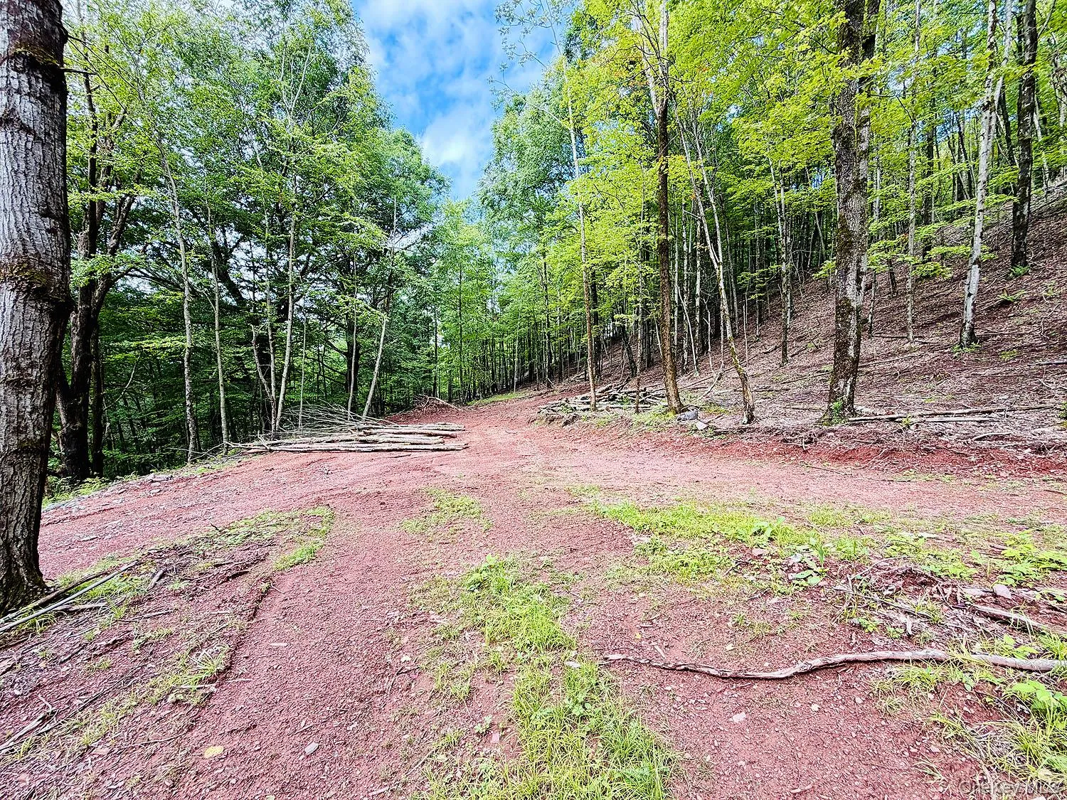 00 Hammer Road, Fremont, NY, ,Land,For Rent,Hammer,0,1046551 00 Hammer Road, Fremont, NY, ,Land,For Rent,Hammer,0,1046551
