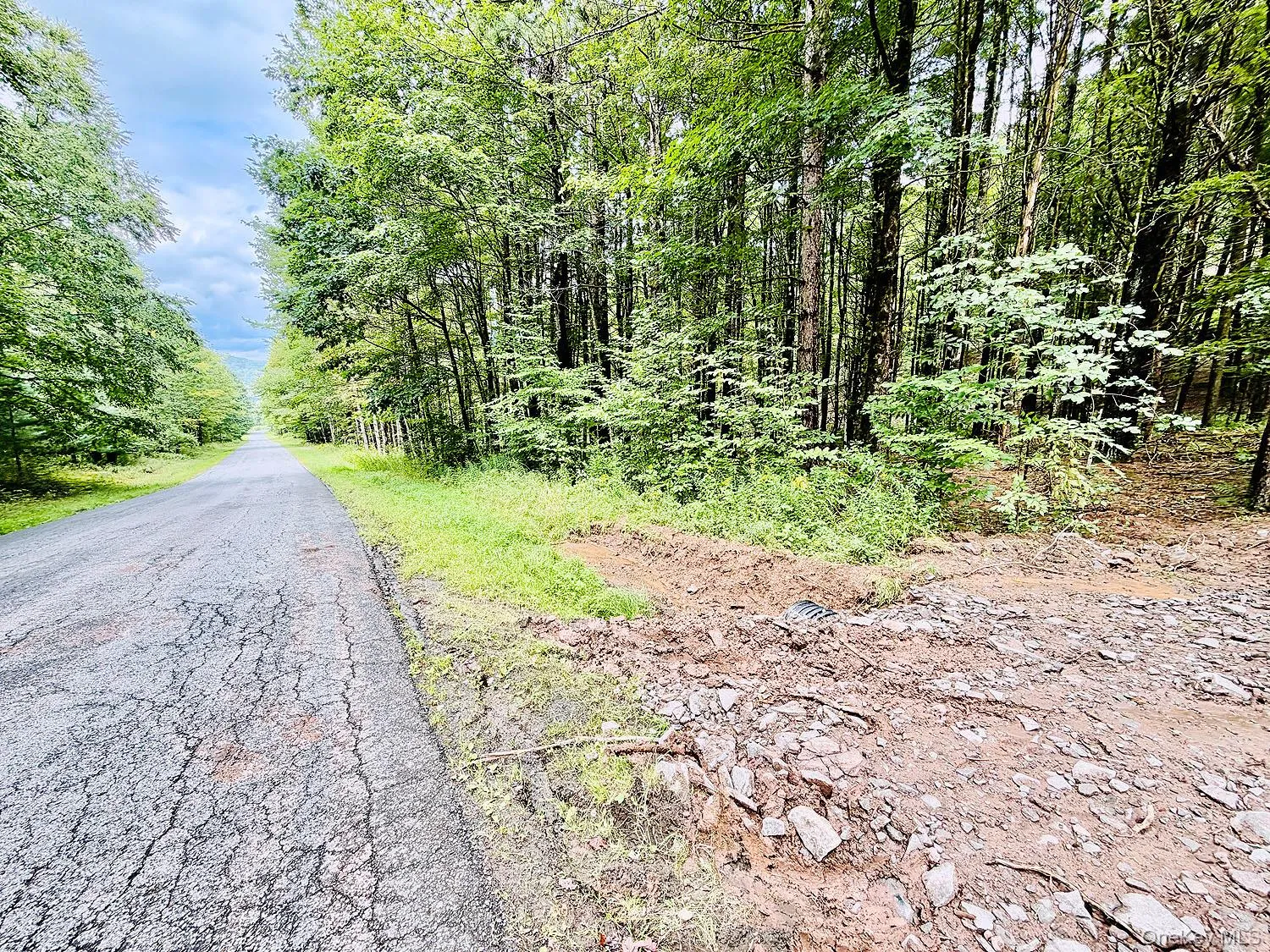 00 Hammer Road, Fremont, NY, ,Land,For Rent,Hammer,0,1046551 00 Hammer Road, Fremont, NY, ,Land,For Rent,Hammer,0,1046551
