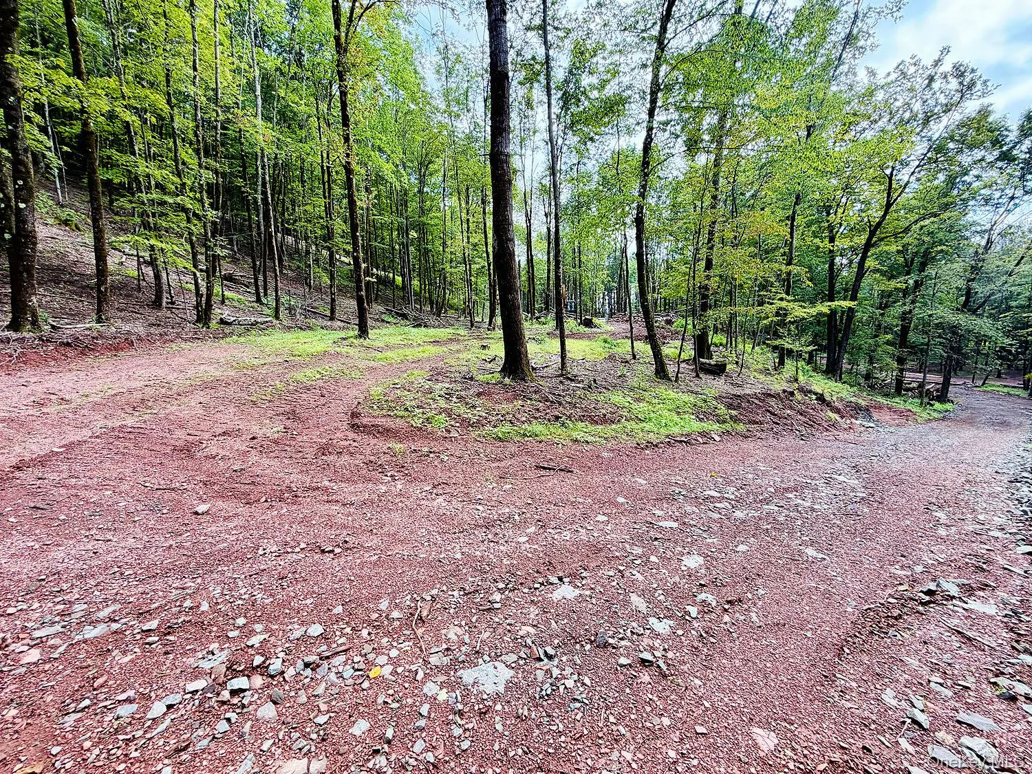 00 Hammer Road, Fremont, NY, ,Land,For Rent,Hammer,0,1046551 00 Hammer Road, Fremont, NY, ,Land,For Rent,Hammer,0,1046551