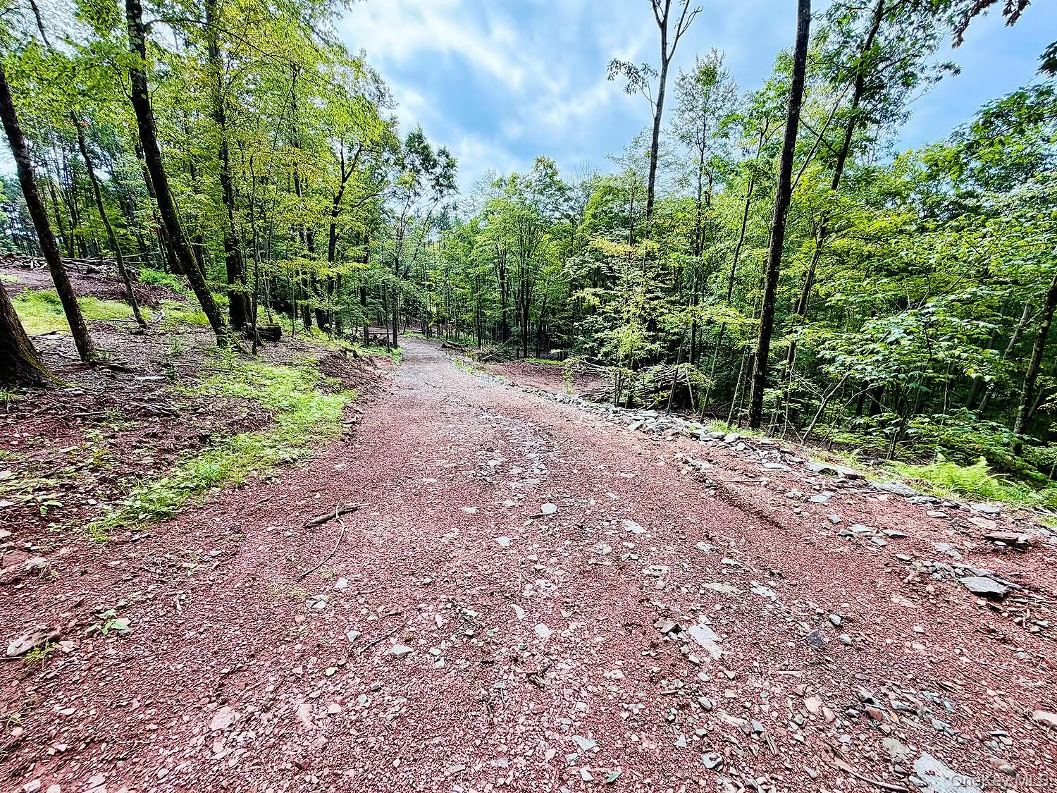 00 Hammer Road, Fremont, NY, ,Land,For Rent,Hammer,0,1046551 00 Hammer Road, Fremont, NY, ,Land,For Rent,Hammer,0,1046551