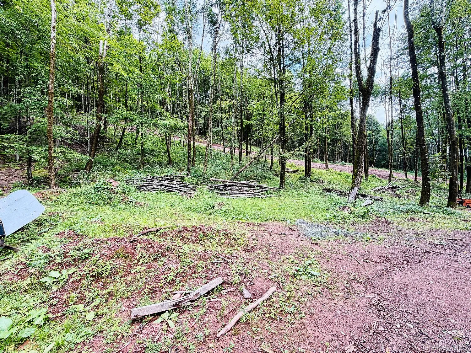00 Hammer Road, Fremont, NY, ,Land,For Rent,Hammer,0,1046551 00 Hammer Road, Fremont, NY, ,Land,For Rent,Hammer,0,1046551