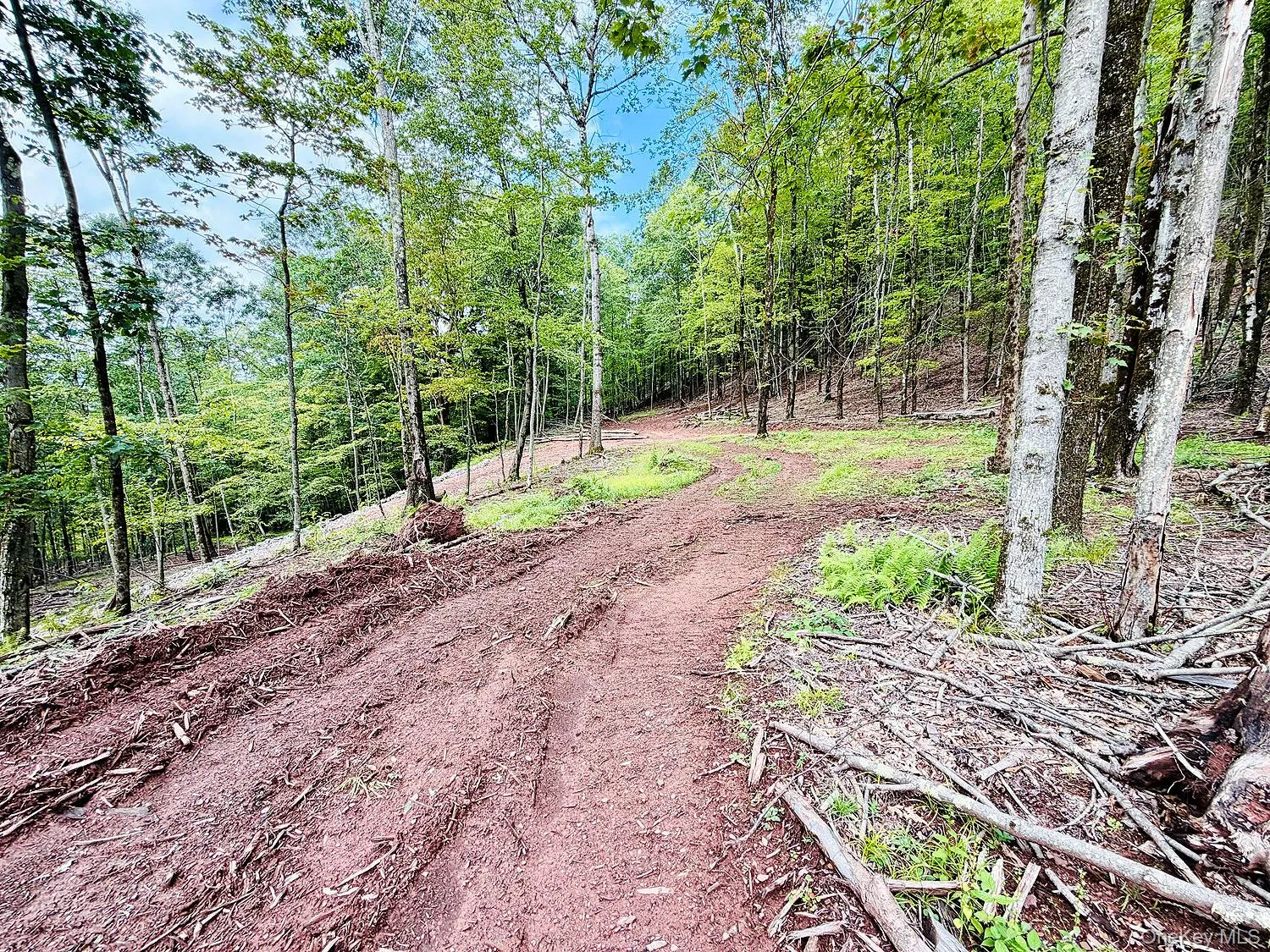 00 Hammer Road, Fremont, NY, ,Land,For Rent,Hammer,0,1046551 00 Hammer Road, Fremont, NY, ,Land,For Rent,Hammer,0,1046551