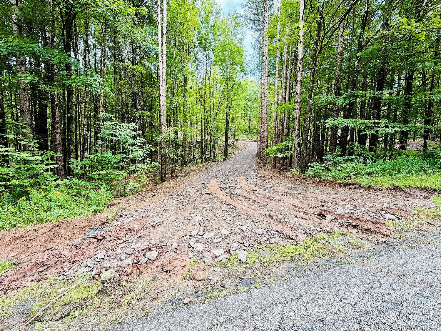 00 Hammer Road, Fremont, NY, ,Land,For Rent,Hammer,0,1046551 00 Hammer Road, Fremont, NY, ,Land,For Rent,Hammer,0,1046551