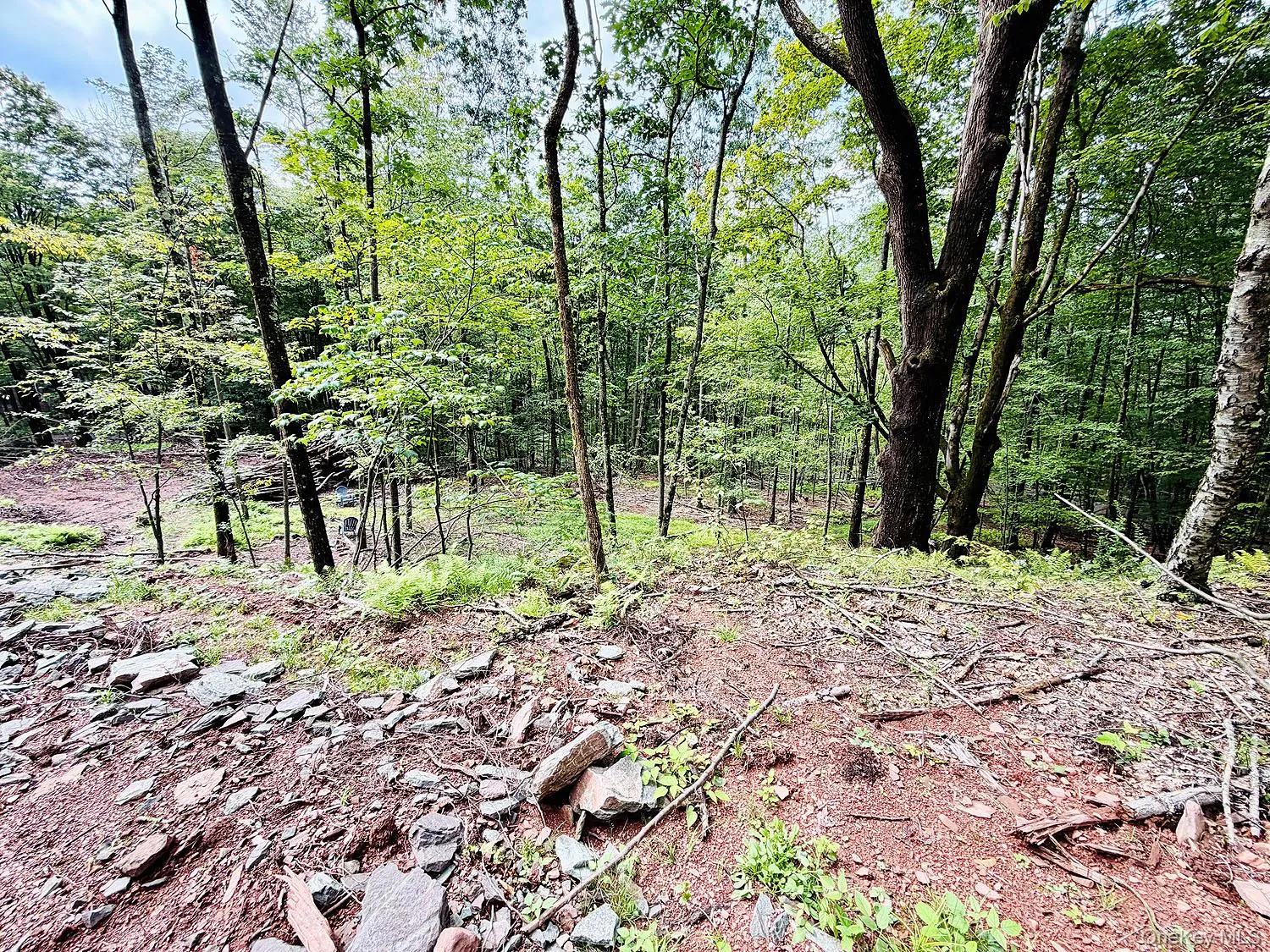 00 Hammer Road, Fremont, NY, ,Land,For Rent,Hammer,0,1046551 00 Hammer Road, Fremont, NY, ,Land,For Rent,Hammer,0,1046551