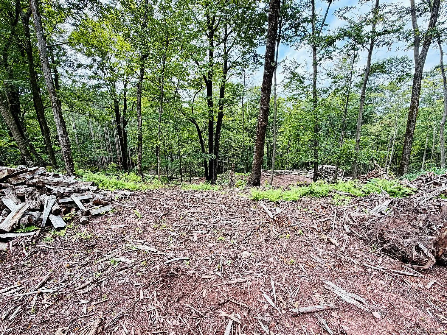 00 Hammer Road, Fremont, NY, ,Land,For Rent,Hammer,0,1046551 00 Hammer Road, Fremont, NY, ,Land,For Rent,Hammer,0,1046551