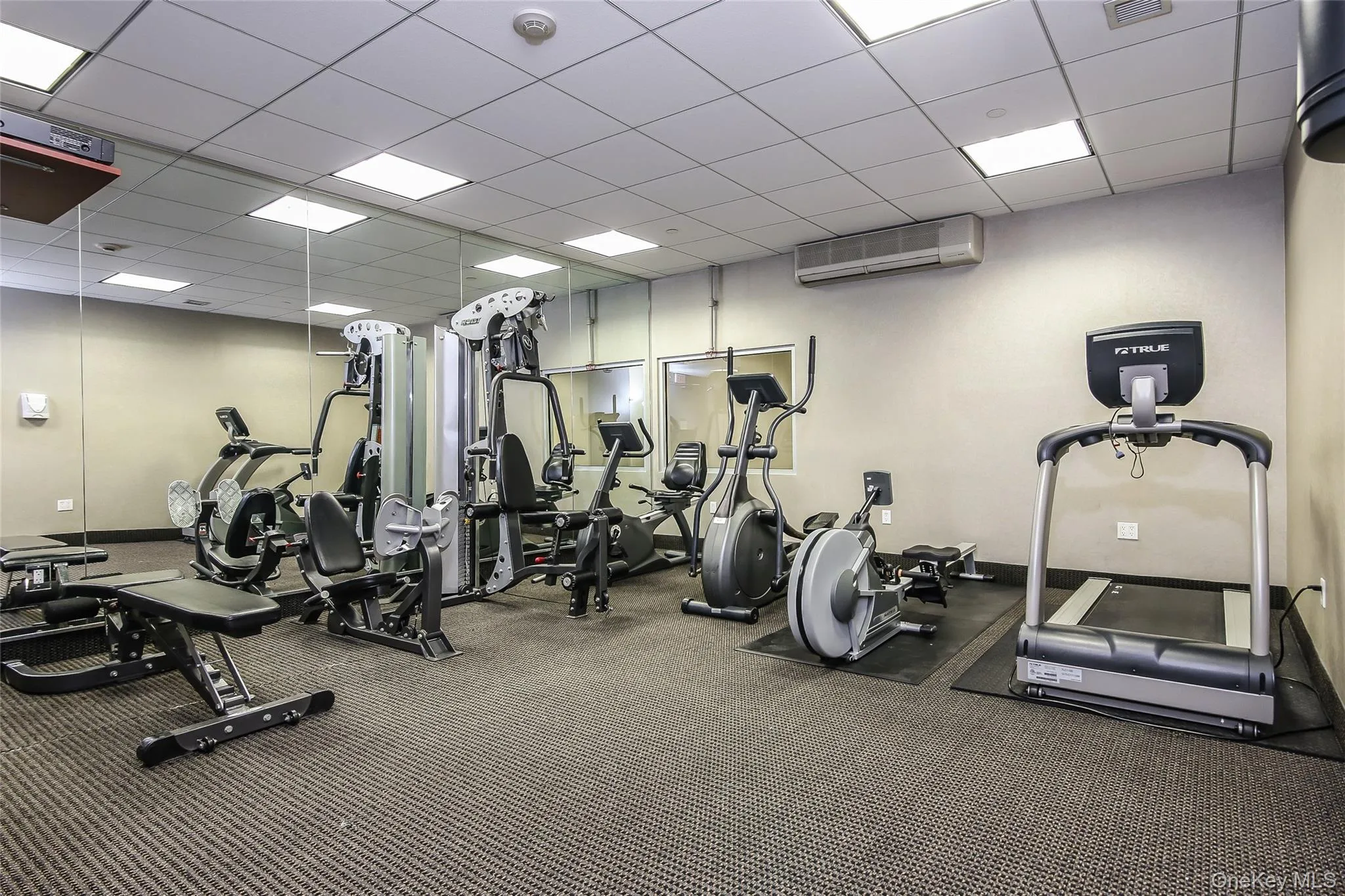25 Leroy Place, New Rochelle, NY, 1 Bedroom Bedrooms, 3 Rooms Rooms,2 BathroomsBathrooms,Residential Lease,For Rent,Leroy,0,1046671 25 Leroy Place, New Rochelle, NY, 1 Bedroom Bedrooms, 3 Rooms Rooms,2 BathroomsBathrooms,Residential Lease,For Rent,Leroy,0,1046671
