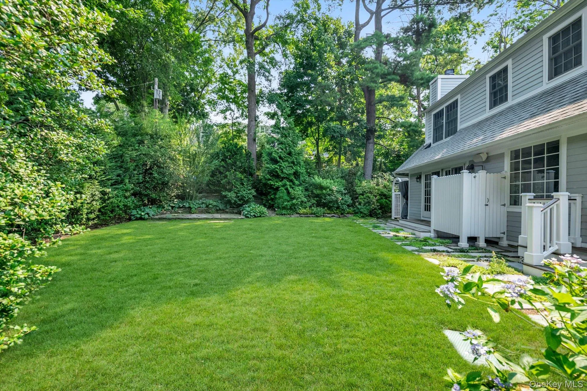 Backyard Backyard