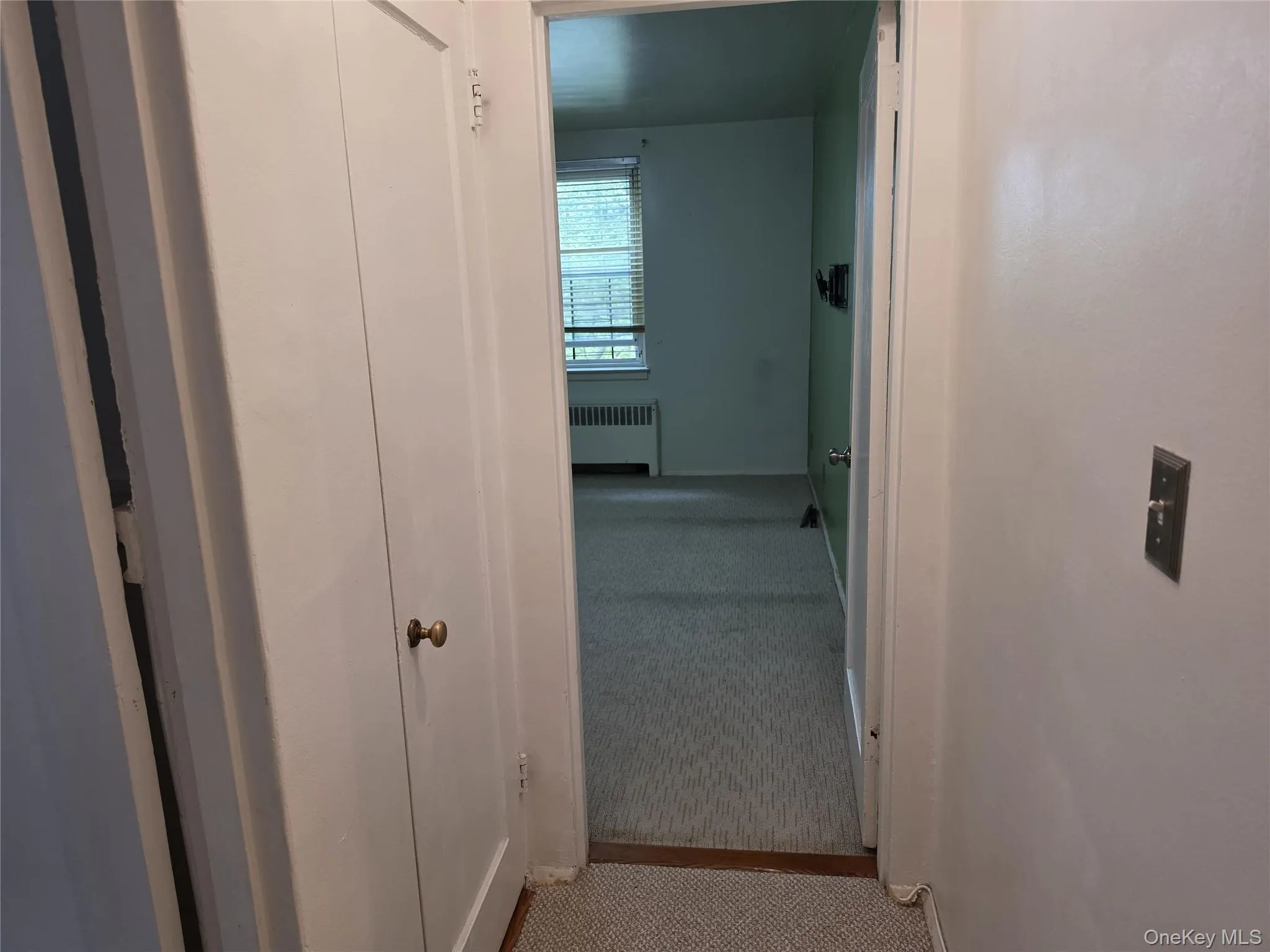 Interior hallway featuring white walls, textured carpeting, and a built-in closet with brass hardware Interior hallway featuring white walls, textured carpeting, and a built-in closet with brass hardware