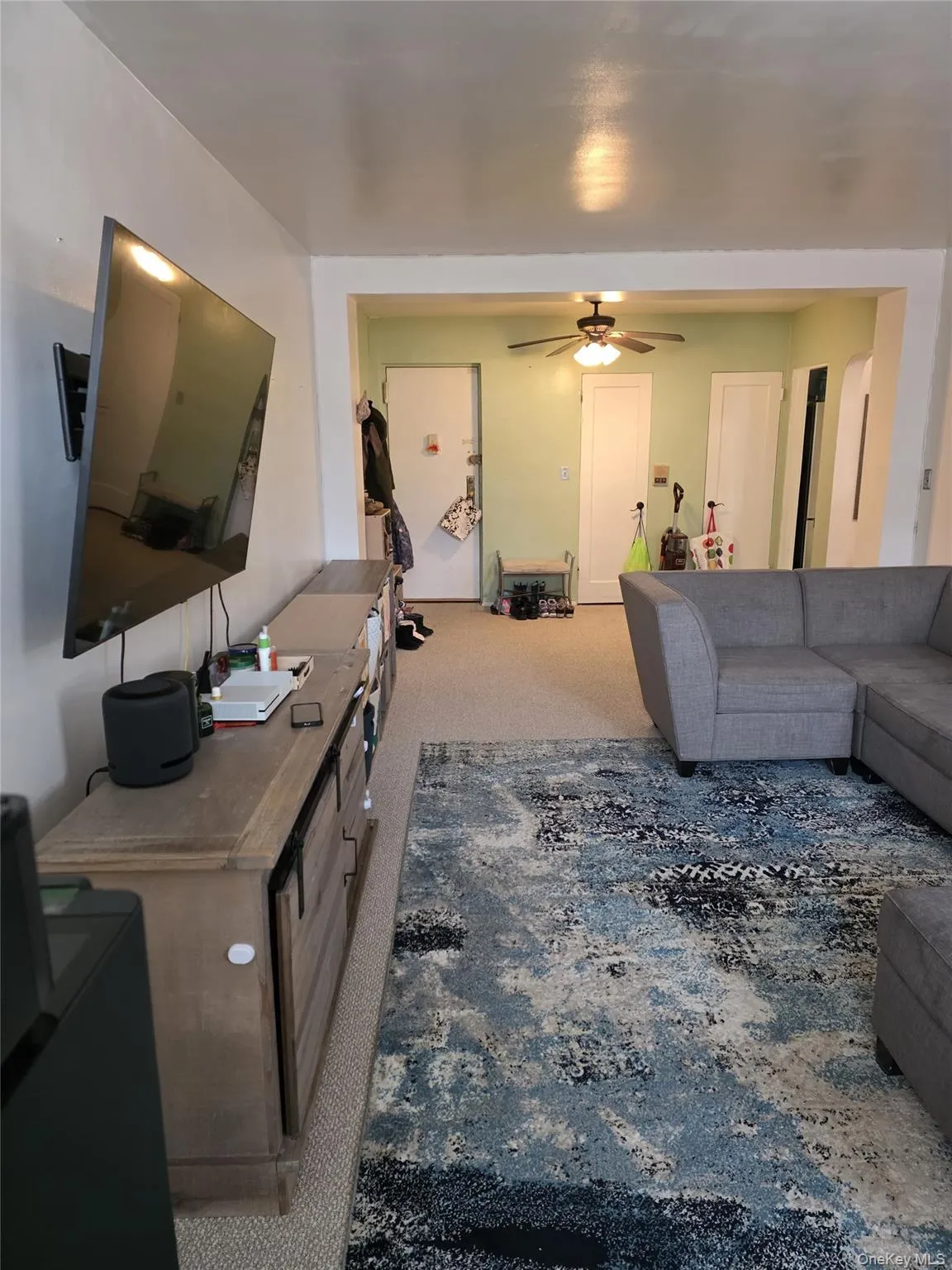 Living area with light-toned wall finishes and carpet flooring Living area with light-toned wall finishes and carpet flooring