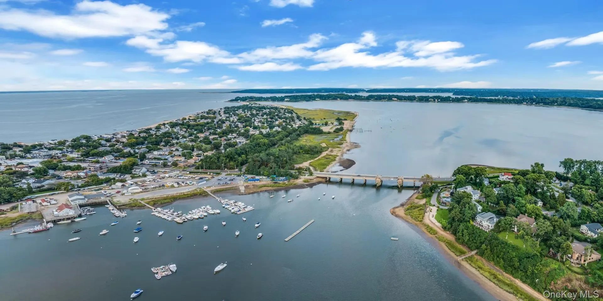 710 Sound View Road, Oyster Bay, NY, 4 Bedrooms Bedrooms, 8 Rooms Rooms,3 BathroomsBathrooms,Residential,For Rent,Sound View,0,1046704 710 Sound View Road, Oyster Bay, NY, 4 Bedrooms Bedrooms, 8 Rooms Rooms,3 BathroomsBathrooms,Residential,For Rent,Sound View,0,1046704