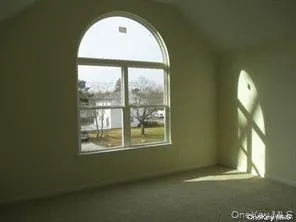 Bonus room featuring healthy amount of natural light, lofted ceiling, and carpet flooring Bonus room featuring healthy amount of natural light, lofted ceiling, and carpet flooring