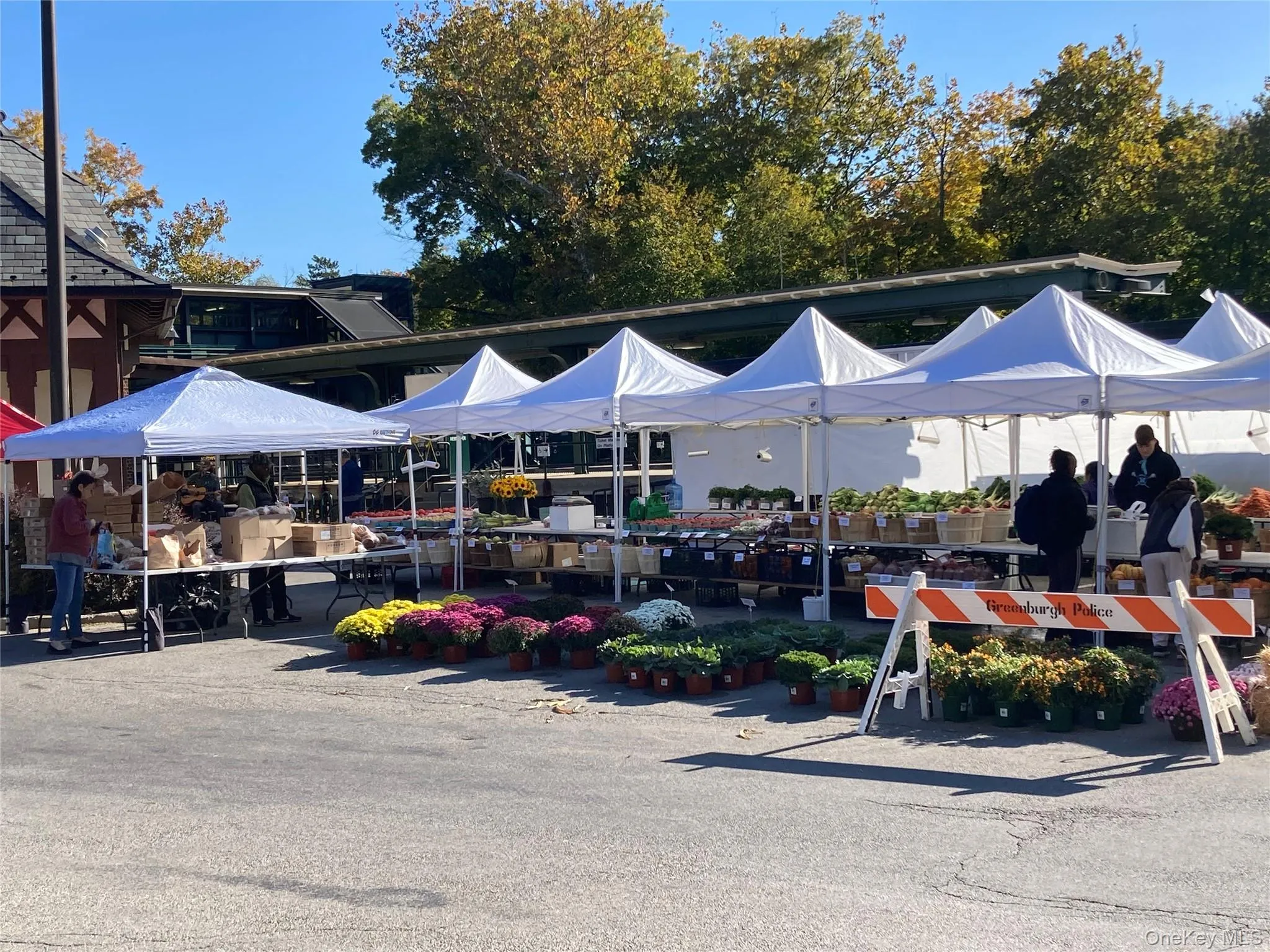 Visit the farmer's market next to the train station that is open every Saturday Visit the farmer's market next to the train station that is open every Saturday