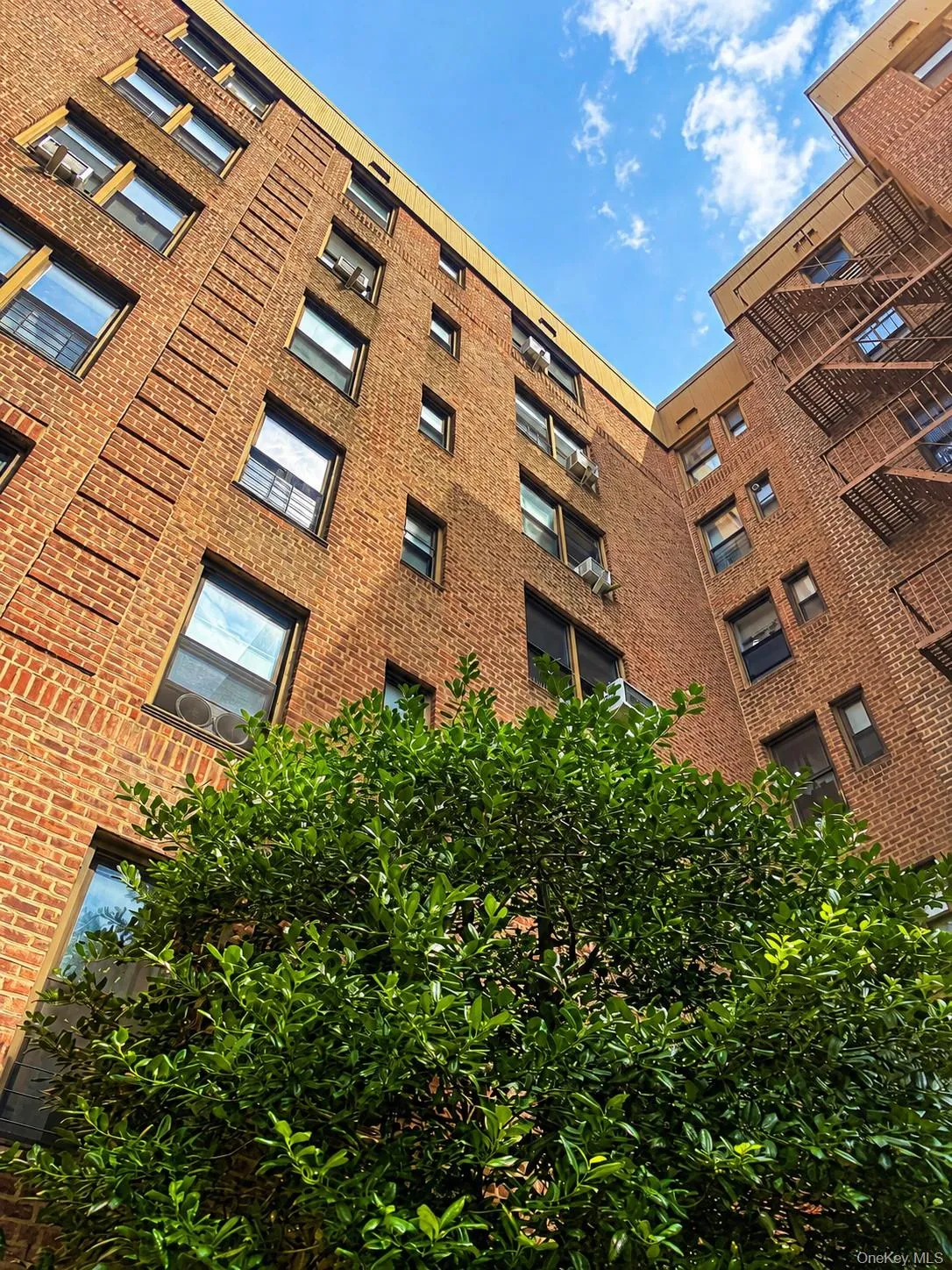 83-05 98 Street, New York, NY, 1 Bedroom Bedrooms, 3 Rooms Rooms,1 BathroomBathrooms,Residential,For Rent,98,0,1046792 83-05 98 Street, New York, NY, 1 Bedroom Bedrooms, 3 Rooms Rooms,1 BathroomBathrooms,Residential,For Rent,98,0,1046792