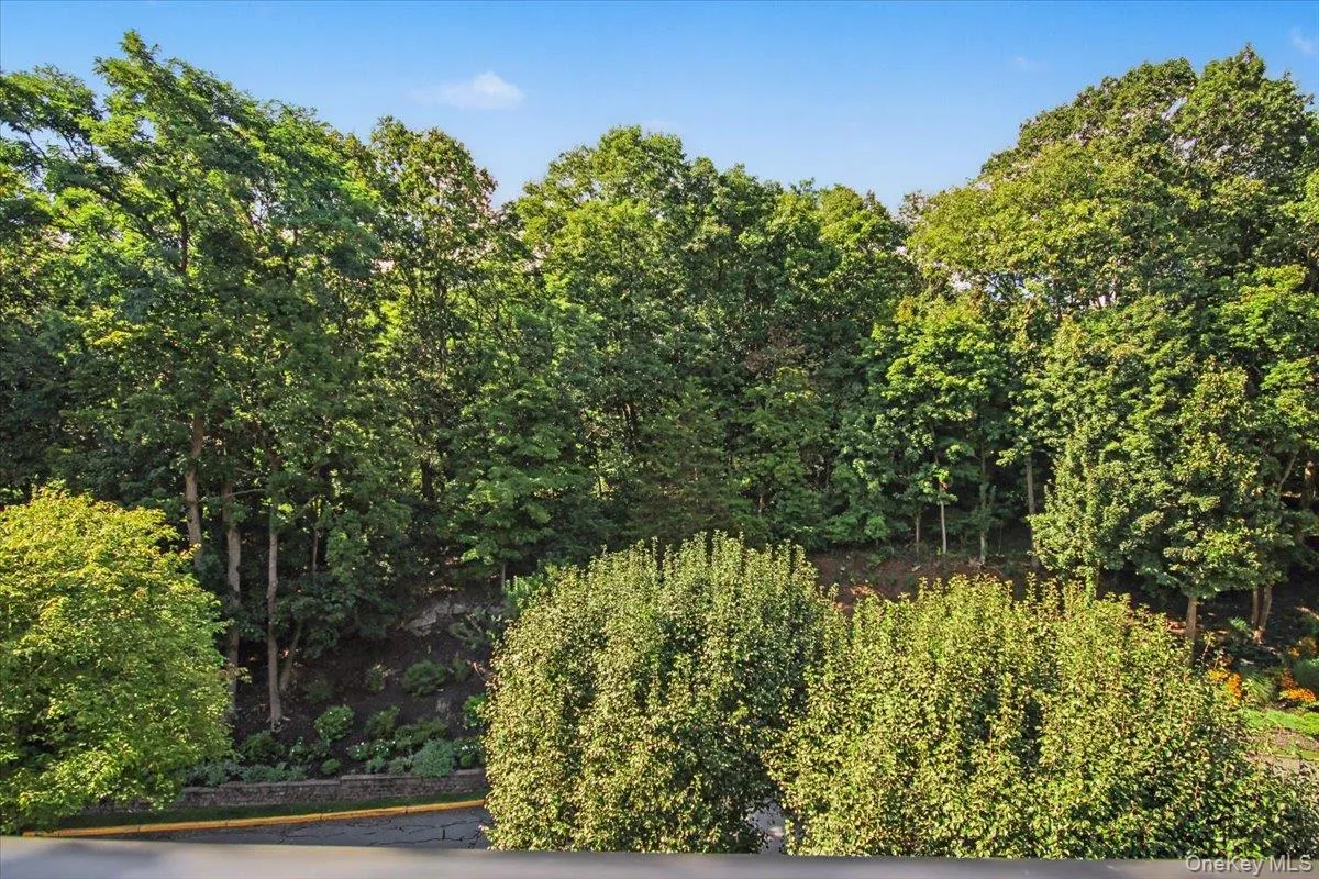 100 Diplomat Drive, Mount Kisco, NY, 2 Bedrooms Bedrooms, 5 Rooms Rooms,2 BathroomsBathrooms,Residential,For Rent,Diplomat,0,1046804 100 Diplomat Drive, Mount Kisco, NY, 2 Bedrooms Bedrooms, 5 Rooms Rooms,2 BathroomsBathrooms,Residential,For Rent,Diplomat,0,1046804