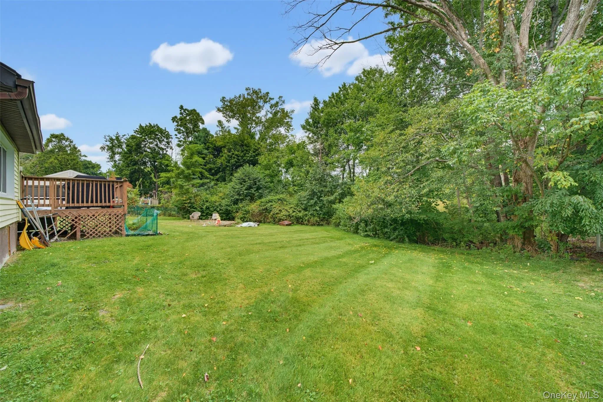 Expansive green lawn with mature perimeter trees and a l wooden deck Expansive green lawn with mature perimeter trees and a l wooden deck