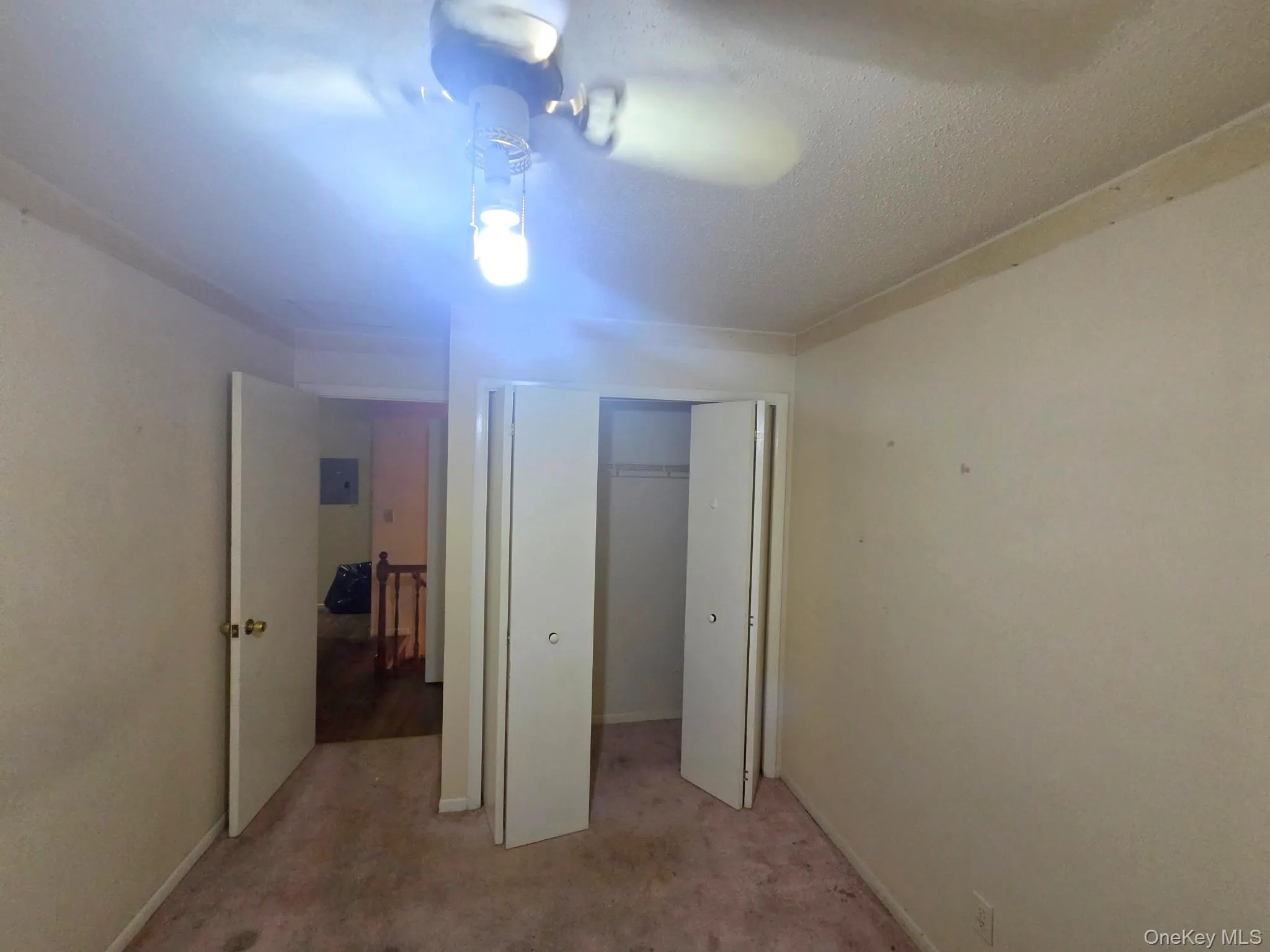 1988 Vyse Avenue, New York, NY, 3 Bedrooms Bedrooms, 6 Rooms Rooms,1 BathroomBathrooms,Residential,For Rent,Vyse,0,1046817 1988 Vyse Avenue, New York, NY, 3 Bedrooms Bedrooms, 6 Rooms Rooms,1 BathroomBathrooms,Residential,For Rent,Vyse,0,1046817