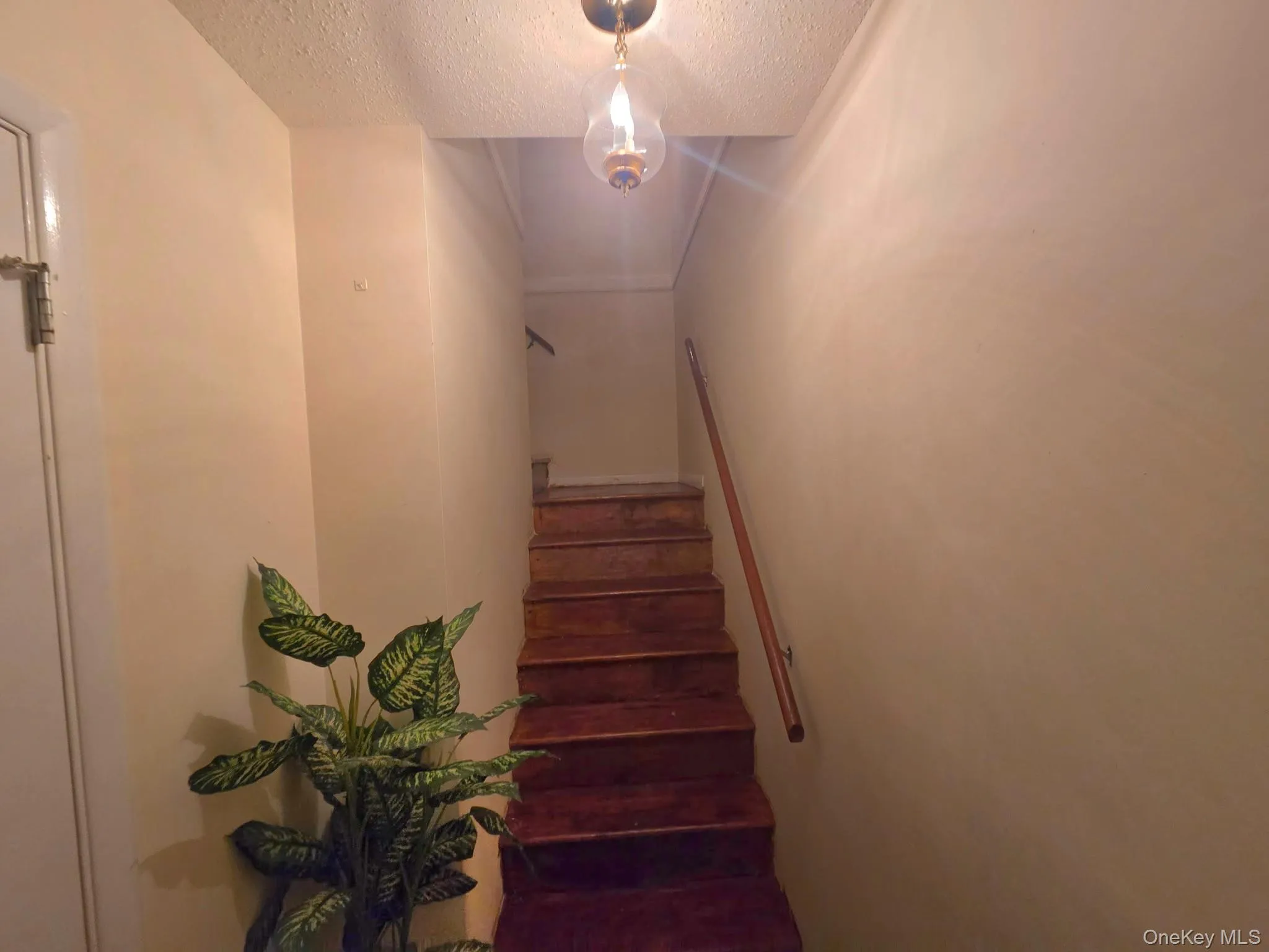 1988 Vyse Avenue, New York, NY, 3 Bedrooms Bedrooms, 6 Rooms Rooms,1 BathroomBathrooms,Residential,For Rent,Vyse,0,1046817 1988 Vyse Avenue, New York, NY, 3 Bedrooms Bedrooms, 6 Rooms Rooms,1 BathroomBathrooms,Residential,For Rent,Vyse,0,1046817