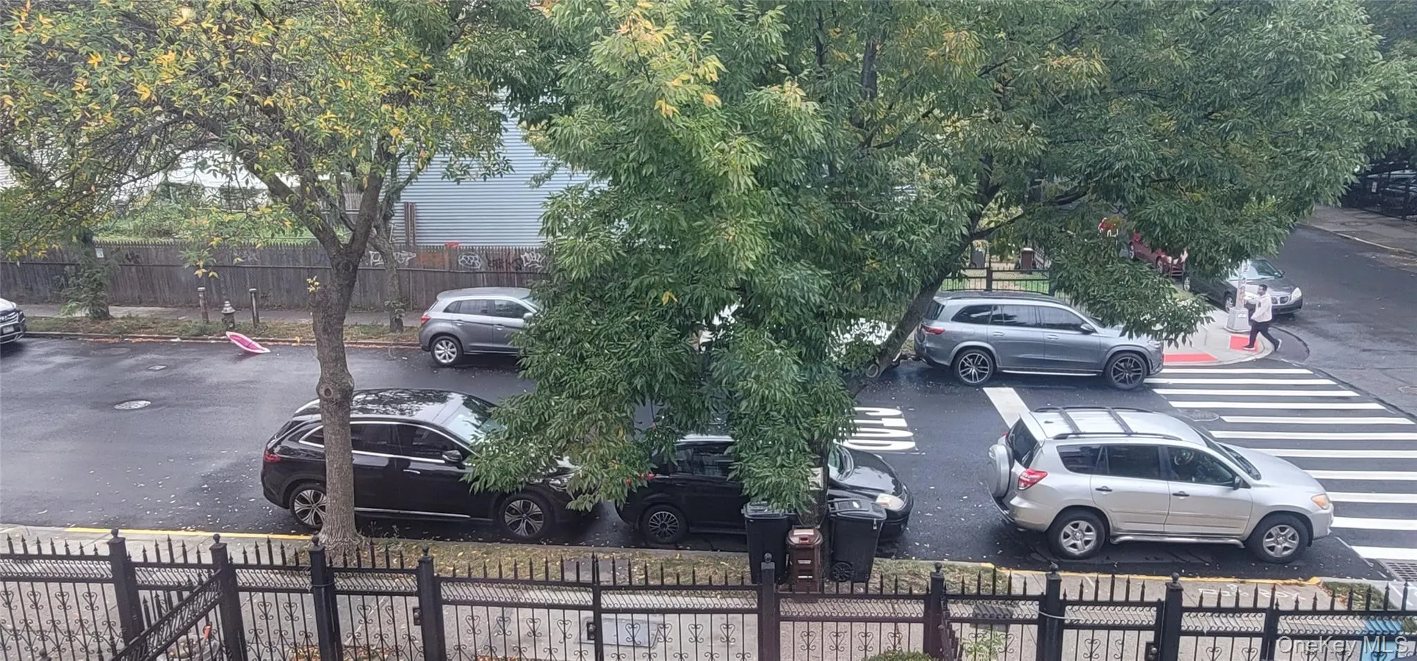 1988 Vyse Avenue, New York, NY, 3 Bedrooms Bedrooms, 6 Rooms Rooms,1 BathroomBathrooms,Residential,For Rent,Vyse,0,1046817 1988 Vyse Avenue, New York, NY, 3 Bedrooms Bedrooms, 6 Rooms Rooms,1 BathroomBathrooms,Residential,For Rent,Vyse,0,1046817