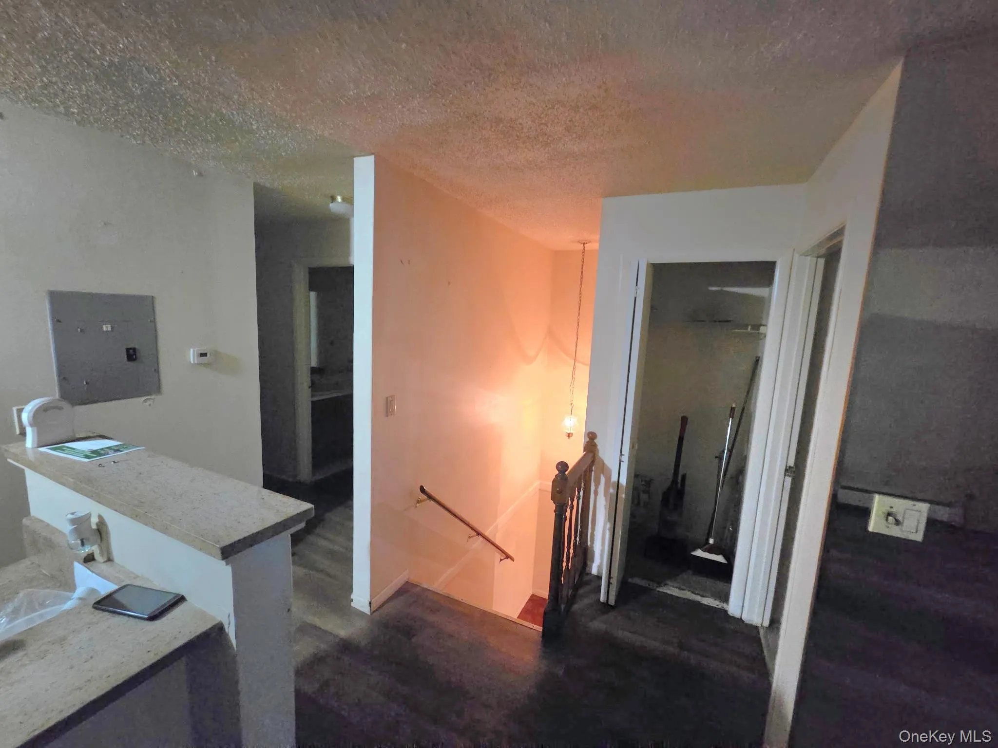 1988 Vyse Avenue, New York, NY, 3 Bedrooms Bedrooms, 6 Rooms Rooms,1 BathroomBathrooms,Residential,For Rent,Vyse,0,1046817 1988 Vyse Avenue, New York, NY, 3 Bedrooms Bedrooms, 6 Rooms Rooms,1 BathroomBathrooms,Residential,For Rent,Vyse,0,1046817