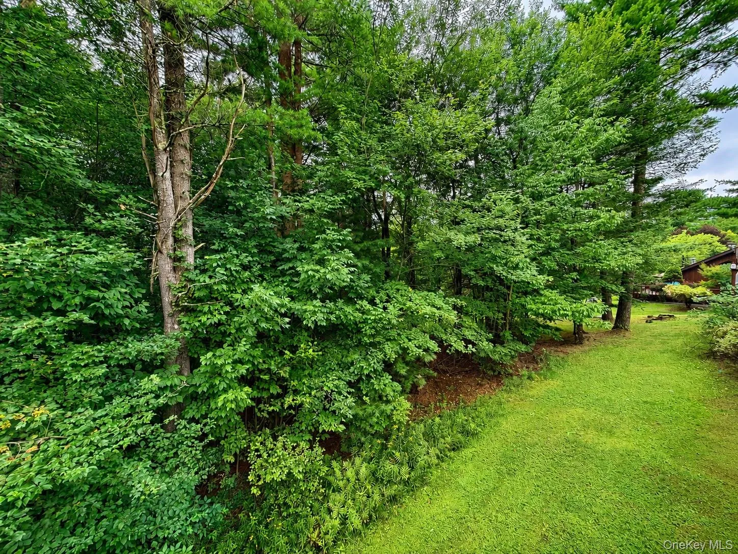 6 Water Lilly Lane, Thompson, NY, 3 Bedrooms Bedrooms, 5 Rooms Rooms,3 BathroomsBathrooms,Residential,For Rent,Water Lilly,0,1046848 6 Water Lilly Lane, Thompson, NY, 3 Bedrooms Bedrooms, 5 Rooms Rooms,3 BathroomsBathrooms,Residential,For Rent,Water Lilly,0,1046848