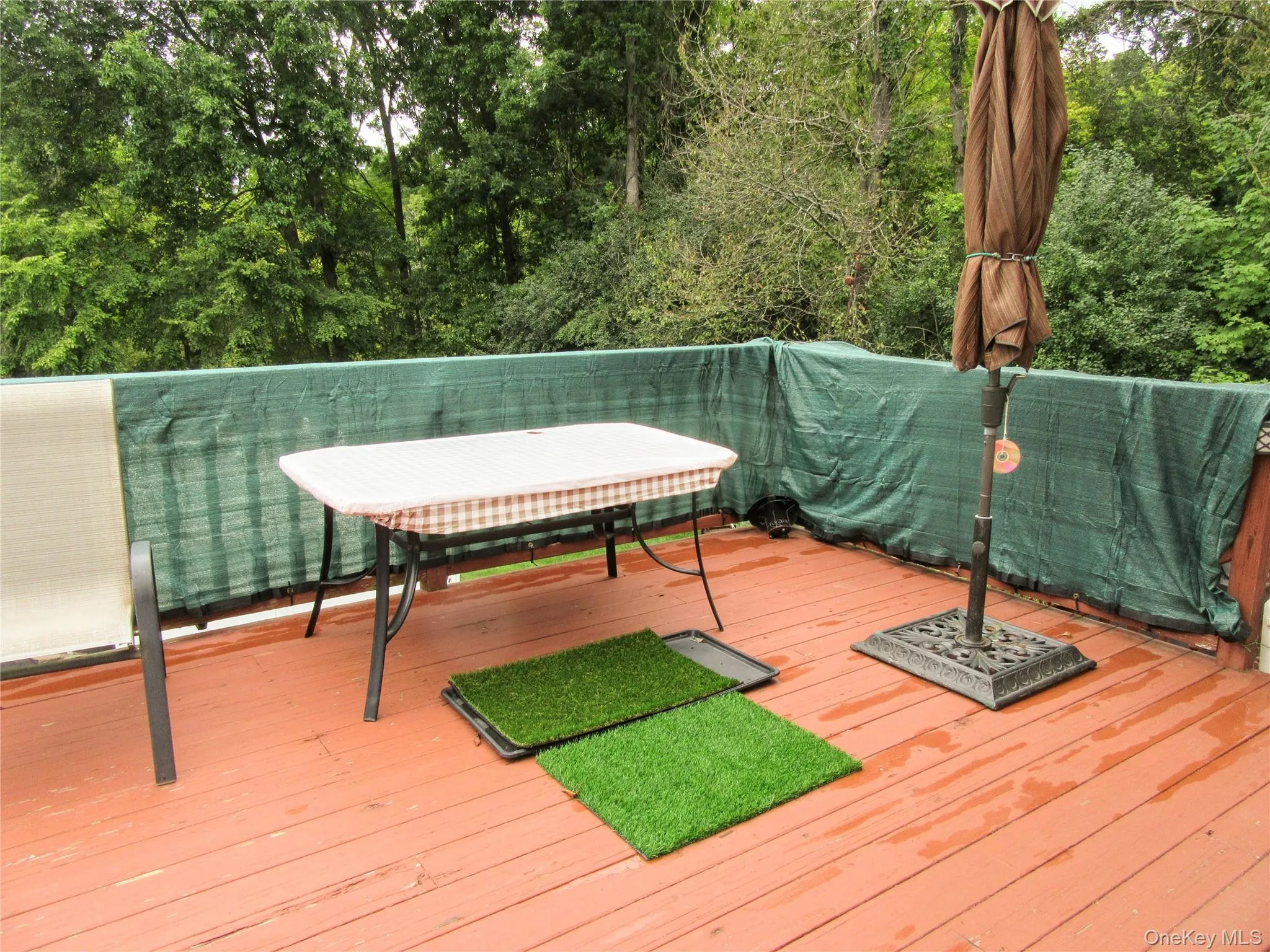 171 Barnes Road, Blooming Grove, NY, 4 Bedrooms Bedrooms, 8 Rooms Rooms,2 BathroomsBathrooms,Residential,For Rent,Barnes,0,1046855 171 Barnes Road, Blooming Grove, NY, 4 Bedrooms Bedrooms, 8 Rooms Rooms,2 BathroomsBathrooms,Residential,For Rent,Barnes,0,1046855