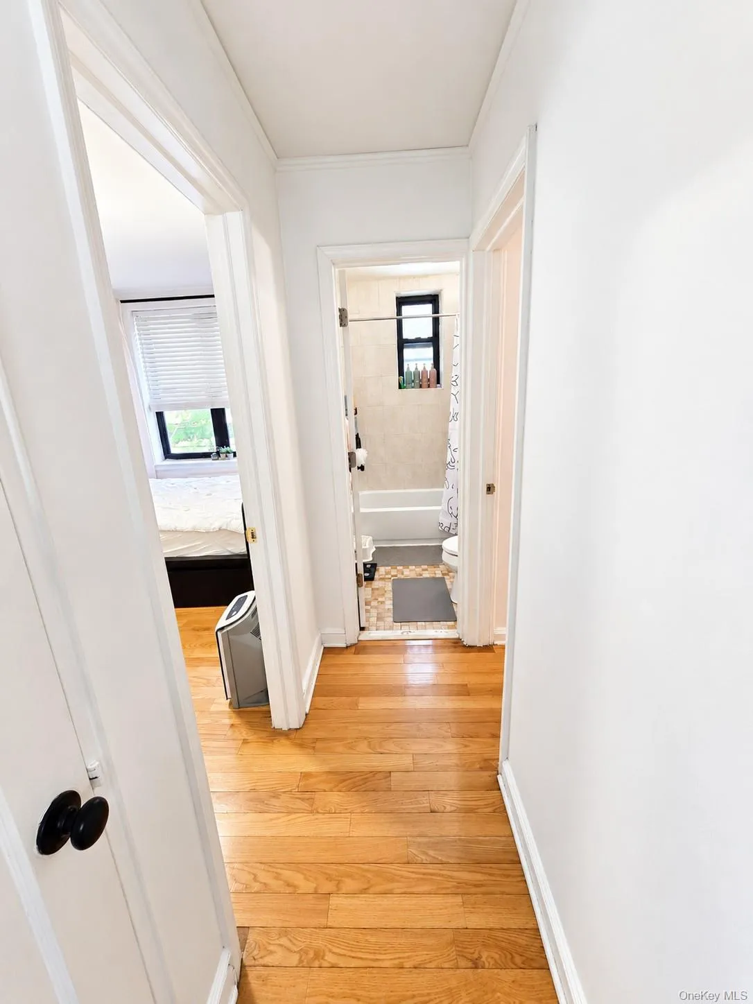 52-02 39th Avenue, New York, NY, 2 Bedrooms Bedrooms, 4 Rooms Rooms,1 BathroomBathrooms,Residential,For Rent,39th,0,1046870 52-02 39th Avenue, New York, NY, 2 Bedrooms Bedrooms, 4 Rooms Rooms,1 BathroomBathrooms,Residential,For Rent,39th,0,1046870