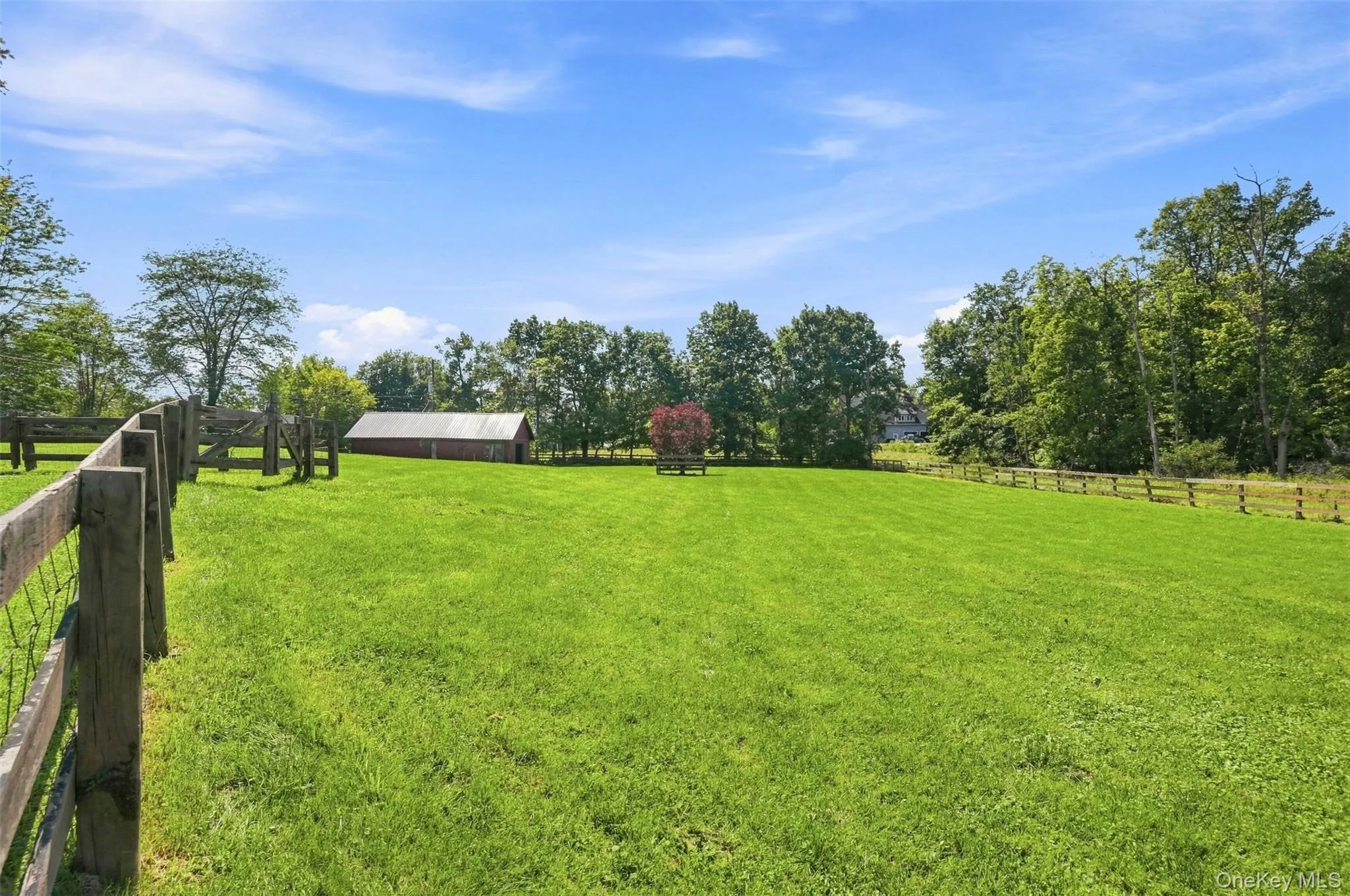 289 Pine Grove Road, Middletown, NY, 4 Bedrooms Bedrooms, 12 Rooms Rooms,3 BathroomsBathrooms,Residential,For Rent,Pine Grove,0,1046894 289 Pine Grove Road, Middletown, NY, 4 Bedrooms Bedrooms, 12 Rooms Rooms,3 BathroomsBathrooms,Residential,For Rent,Pine Grove,0,1046894