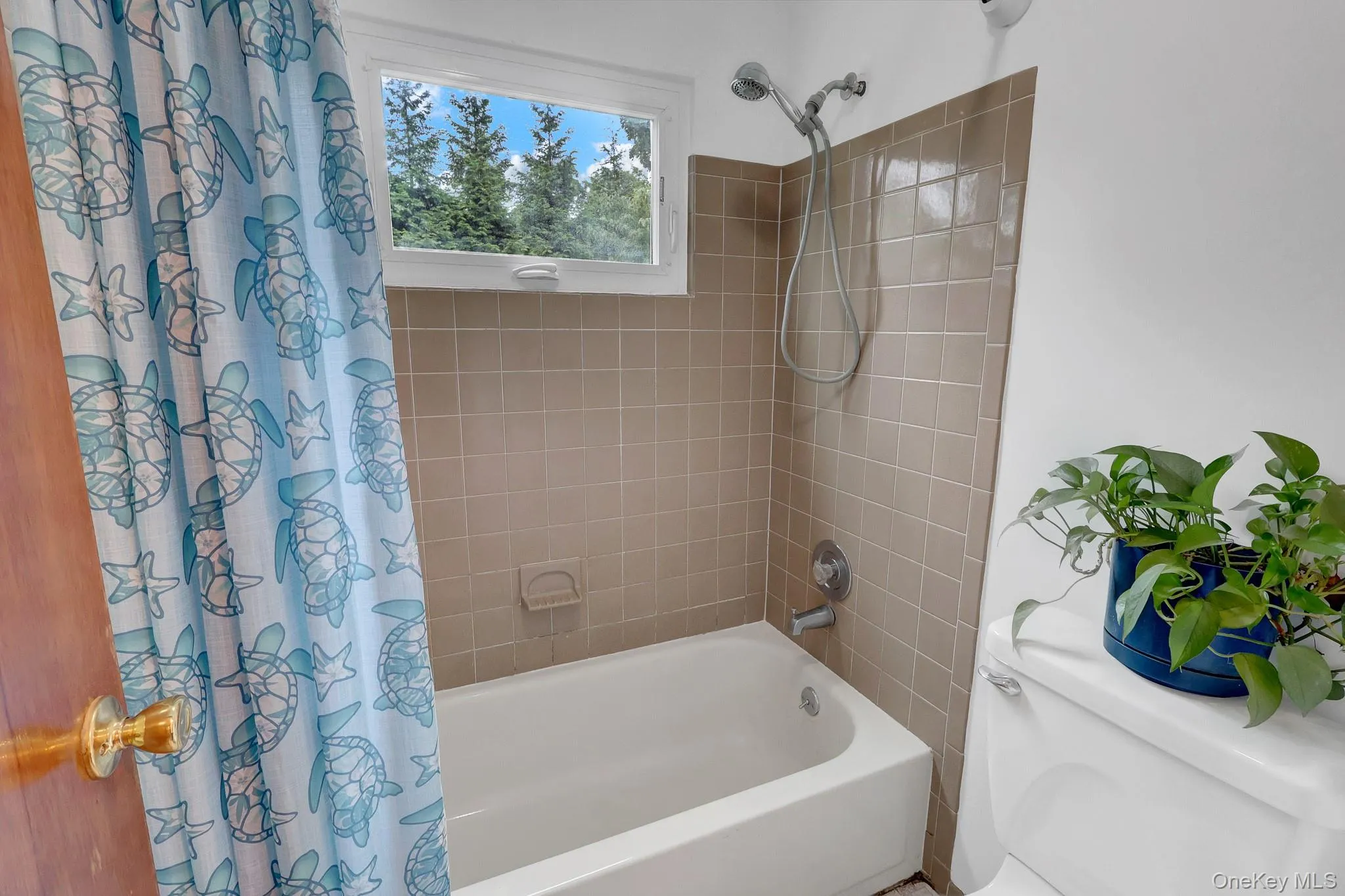 5 Madsen Lane, Huntington, NY, 3 Bedrooms Bedrooms, 5 Rooms Rooms,2 BathroomsBathrooms,Residential,For Rent,Madsen,0,1046901 5 Madsen Lane, Huntington, NY, 3 Bedrooms Bedrooms, 5 Rooms Rooms,2 BathroomsBathrooms,Residential,For Rent,Madsen,0,1046901