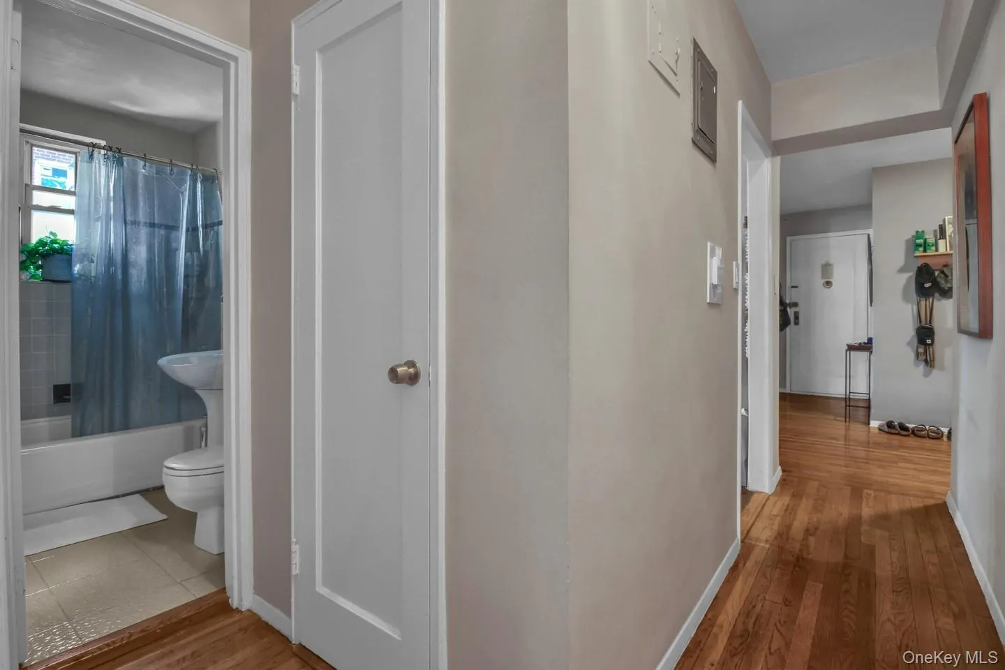 35-40 75th Street, New York, NY, 1 Bedroom Bedrooms, 3 Rooms Rooms,1 BathroomBathrooms,Residential,For Rent,75th,0,1047042 35-40 75th Street, New York, NY, 1 Bedroom Bedrooms, 3 Rooms Rooms,1 BathroomBathrooms,Residential,For Rent,75th,0,1047042