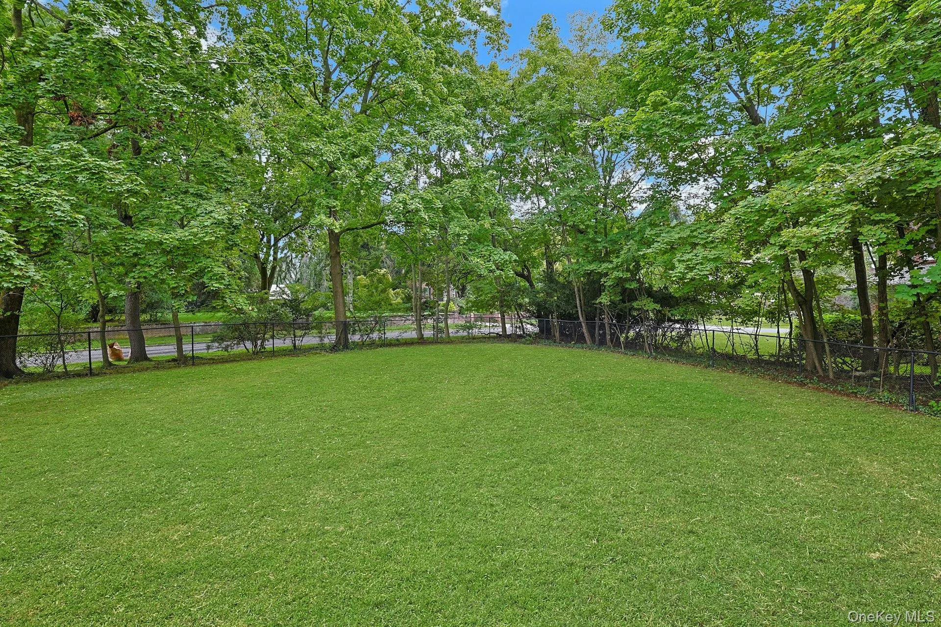 50 Forest Circle, New Rochelle, NY, 6 Bedrooms Bedrooms, 17 Rooms Rooms,4 BathroomsBathrooms,Residential,For Rent,Forest,0,1047078 50 Forest Circle, New Rochelle, NY, 6 Bedrooms Bedrooms, 17 Rooms Rooms,4 BathroomsBathrooms,Residential,For Rent,Forest,0,1047078