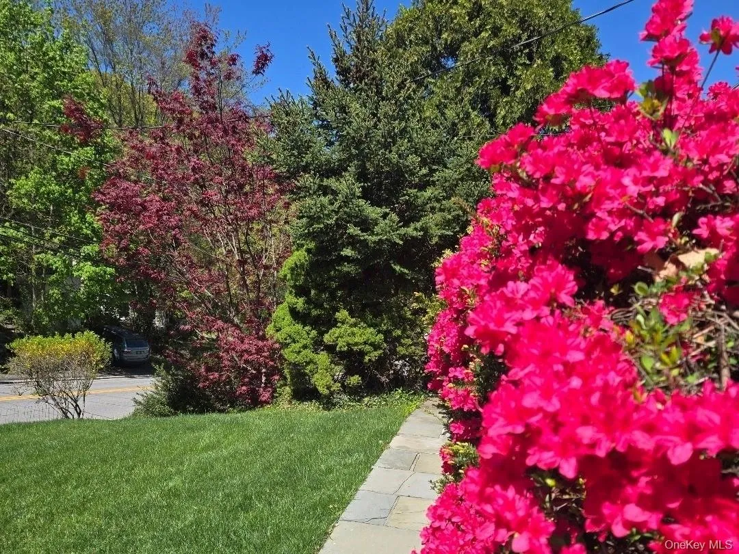 30 Greenvale Circle, Greenburgh, NY, 2 Bedrooms Bedrooms, 7 Rooms Rooms,2 BathroomsBathrooms,Residential,For Rent,Greenvale,0,1047089 30 Greenvale Circle, Greenburgh, NY, 2 Bedrooms Bedrooms, 7 Rooms Rooms,2 BathroomsBathrooms,Residential,For Rent,Greenvale,0,1047089