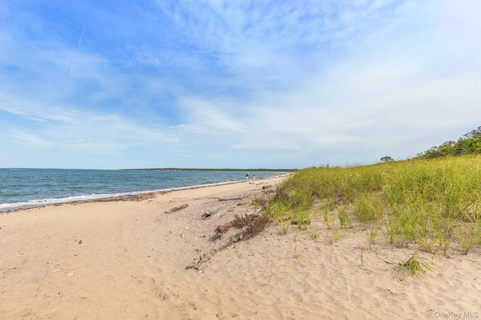 147 Old House Landing, East Hampton, NY, 6 Bedrooms Bedrooms, 18 Rooms Rooms,6 BathroomsBathrooms,Residential,For Rent,Old House Landing,0,1047103 147 Old House Landing, East Hampton, NY, 6 Bedrooms Bedrooms, 18 Rooms Rooms,6 BathroomsBathrooms,Residential,For Rent,Old House Landing,0,1047103