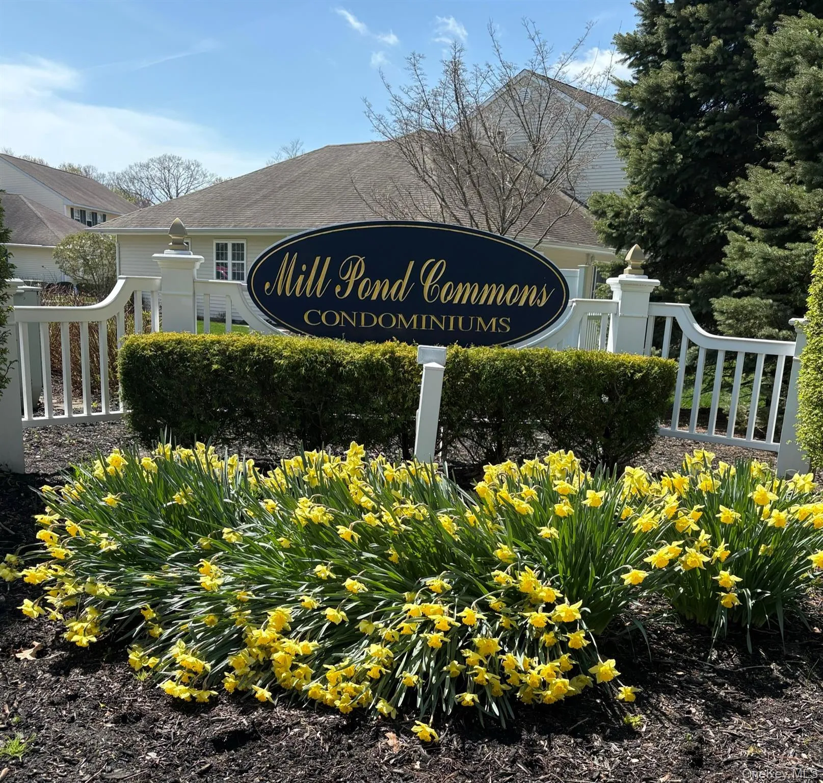 90 Mulberry Common, Riverhead, NY, 2 Bedrooms Bedrooms, 5 Rooms Rooms,1 BathroomBathrooms,Residential,For Rent,Mulberry,0,1047107 90 Mulberry Common, Riverhead, NY, 2 Bedrooms Bedrooms, 5 Rooms Rooms,1 BathroomBathrooms,Residential,For Rent,Mulberry,0,1047107