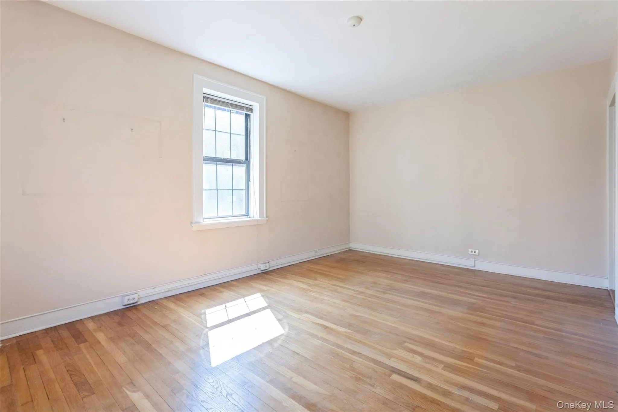 68-36 Burns Street, New York, NY, 2 Bedrooms Bedrooms, 4 Rooms Rooms,1 BathroomBathrooms,Residential,For Rent,Burns,0,1047127 68-36 Burns Street, New York, NY, 2 Bedrooms Bedrooms, 4 Rooms Rooms,1 BathroomBathrooms,Residential,For Rent,Burns,0,1047127