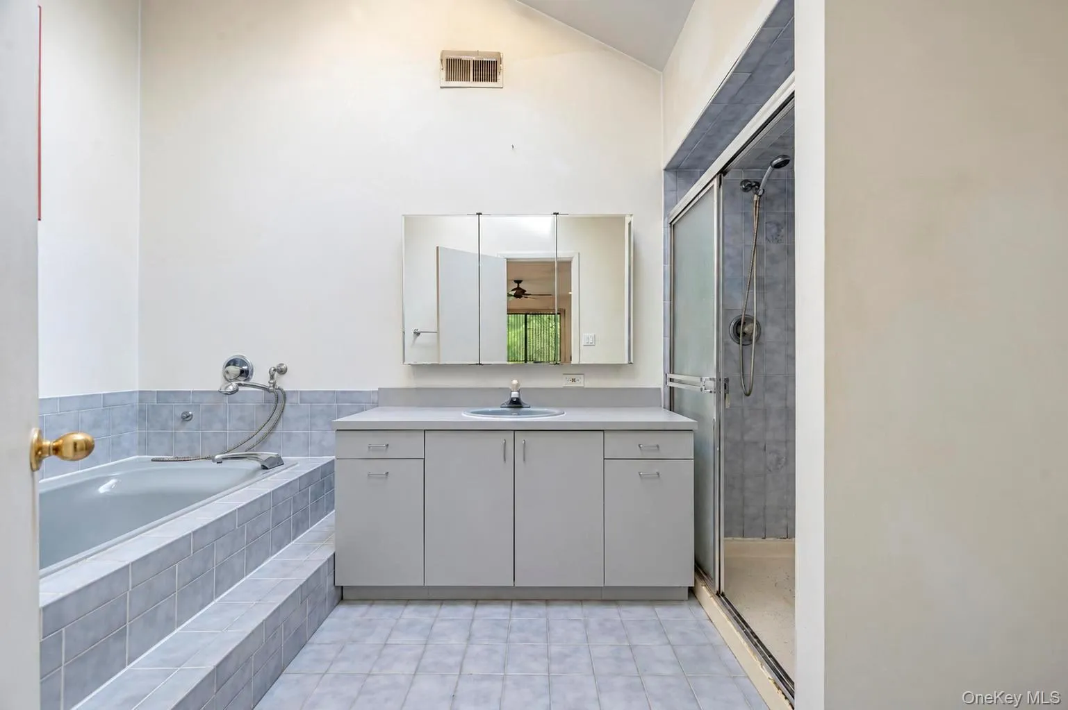 Primary bathroom with high vaulted ceiling, skylight, standalone jetted tub, large vanity and separate standalone stall shower Primary bathroom with high vaulted ceiling, skylight, standalone jetted tub, large vanity and separate standalone stall shower