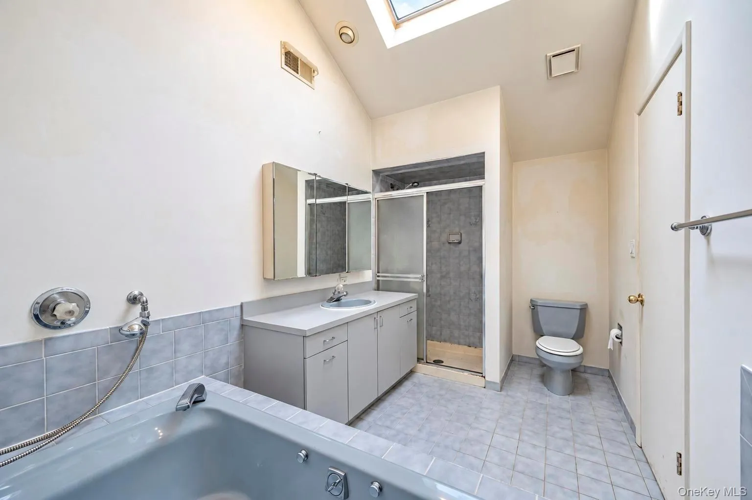 Primary bathroom with high vaulted ceiling, skylight, standalone jetted tub, large vanity and separate standalone stall shower Primary bathroom with high vaulted ceiling, skylight, standalone jetted tub, large vanity and separate standalone stall shower