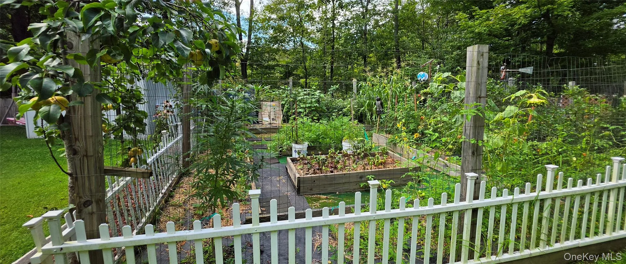 42 Gabriel Road, Cochecton, NY, 4 Bedrooms Bedrooms, 7 Rooms Rooms,1 BathroomBathrooms,Residential,For Rent,Gabriel,0,1047180 42 Gabriel Road, Cochecton, NY, 4 Bedrooms Bedrooms, 7 Rooms Rooms,1 BathroomBathrooms,Residential,For Rent,Gabriel,0,1047180