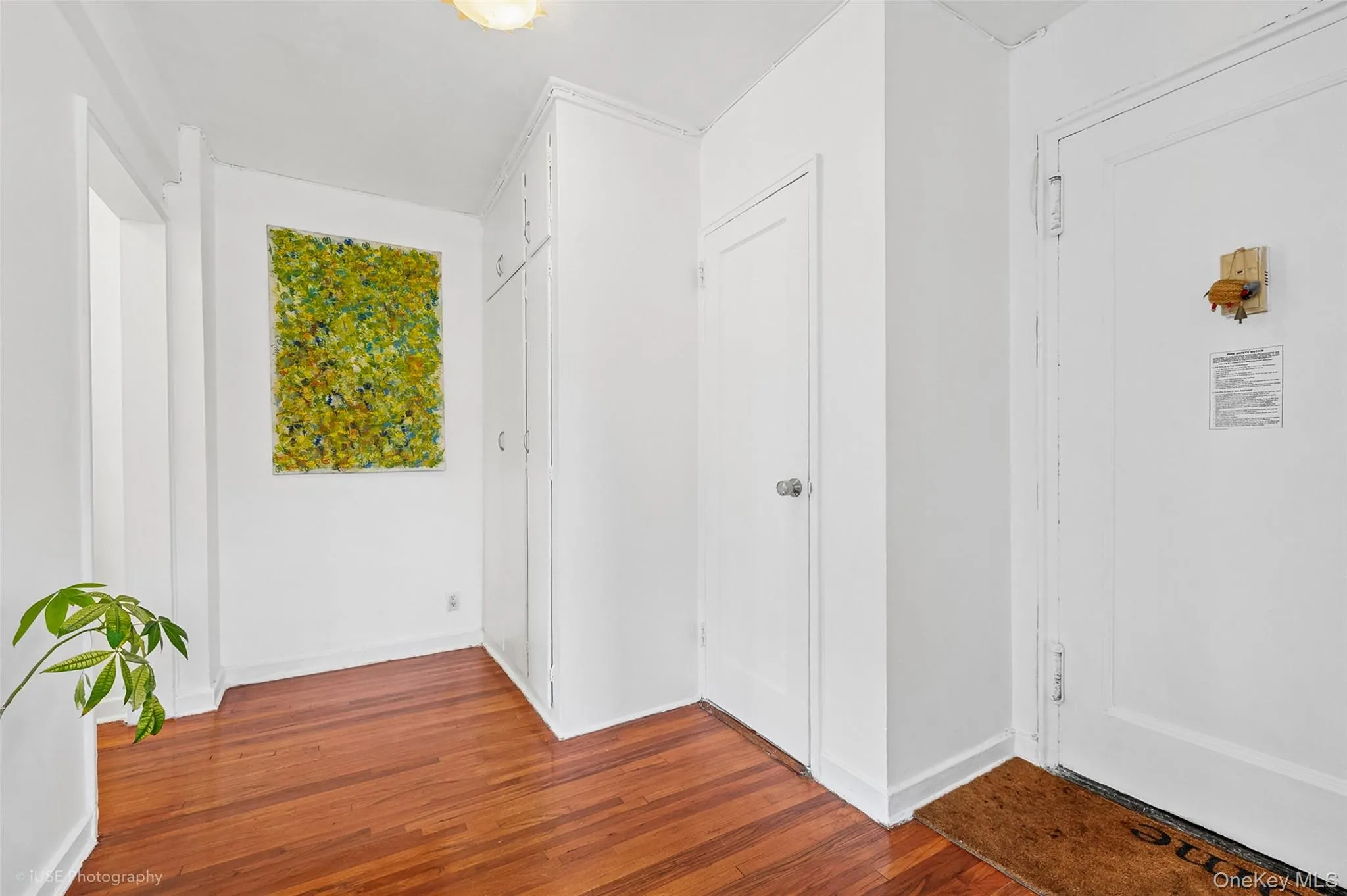 52-18 39th Avenue, New York, NY, 1 Bedroom Bedrooms, 3 Rooms Rooms,1 BathroomBathrooms,Residential,For Rent,39th Avenue,0,1047215 52-18 39th Avenue, New York, NY, 1 Bedroom Bedrooms, 3 Rooms Rooms,1 BathroomBathrooms,Residential,For Rent,39th Avenue,0,1047215