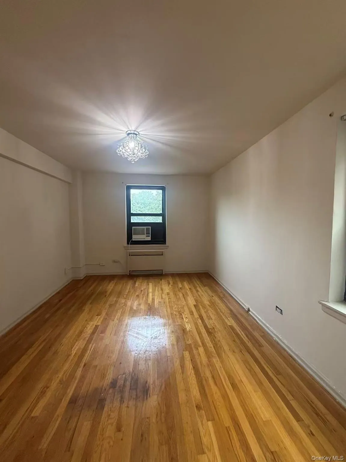 21110 73 Avenue, New York, NY, 1 Bedroom Bedrooms, 3 Rooms Rooms,1 BathroomBathrooms,Residential,For Rent,73,0,1047232 21110 73 Avenue, New York, NY, 1 Bedroom Bedrooms, 3 Rooms Rooms,1 BathroomBathrooms,Residential,For Rent,73,0,1047232