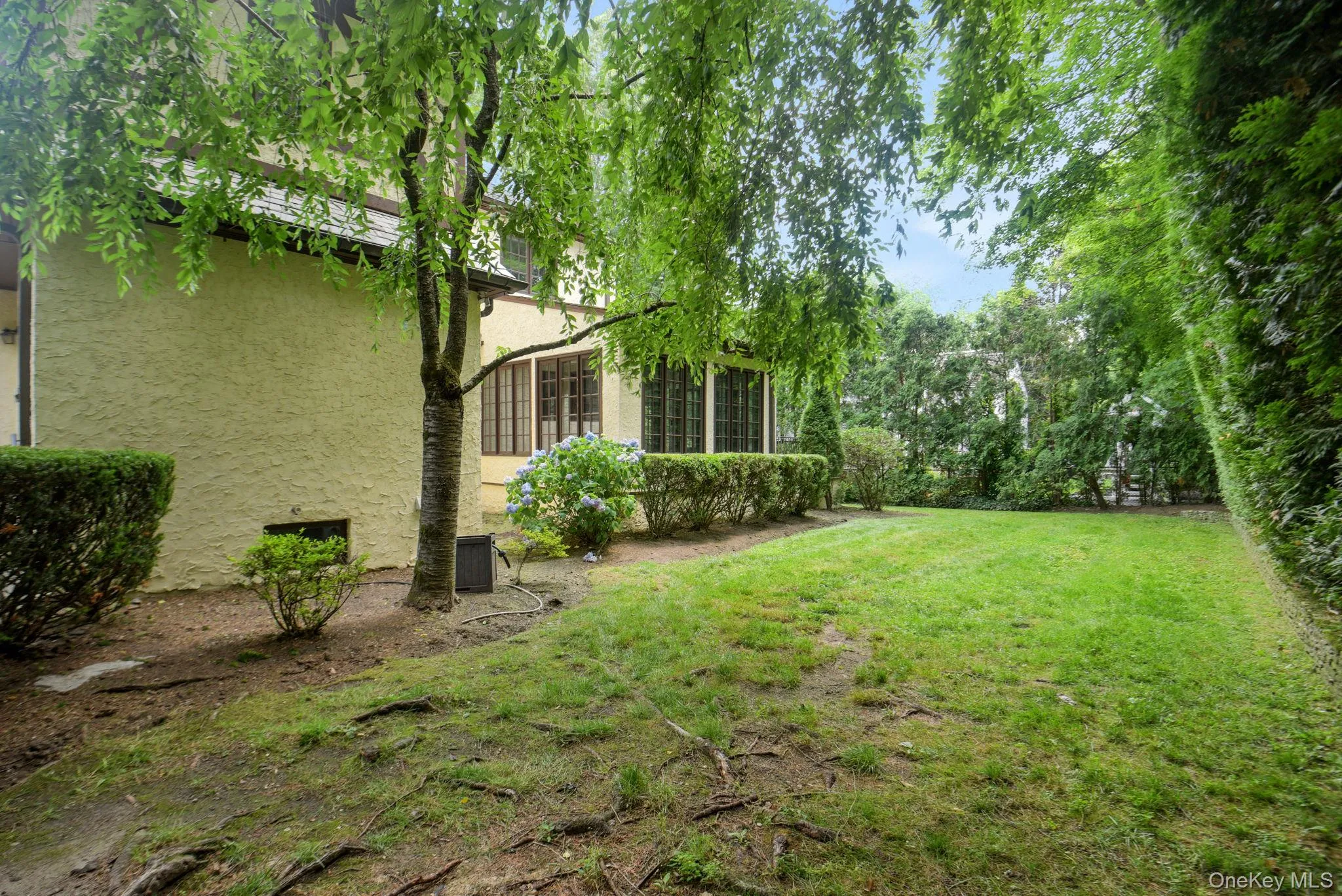 46 Fenimore Road, Scarsdale, NY, 5 Bedrooms Bedrooms, 12 Rooms Rooms,3 BathroomsBathrooms,Residential,For Rent,Fenimore,0,1047235 46 Fenimore Road, Scarsdale, NY, 5 Bedrooms Bedrooms, 12 Rooms Rooms,3 BathroomsBathrooms,Residential,For Rent,Fenimore,0,1047235
