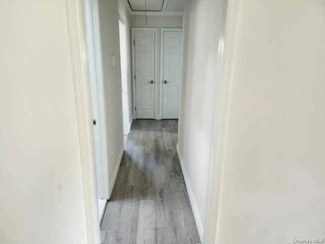 73 Morton Street, Brookhaven, NY, 3 Bedrooms Bedrooms, 6 Rooms Rooms,1 BathroomBathrooms,Residential,For Rent,Morton,0,1047237 73 Morton Street, Brookhaven, NY, 3 Bedrooms Bedrooms, 6 Rooms Rooms,1 BathroomBathrooms,Residential,For Rent,Morton,0,1047237