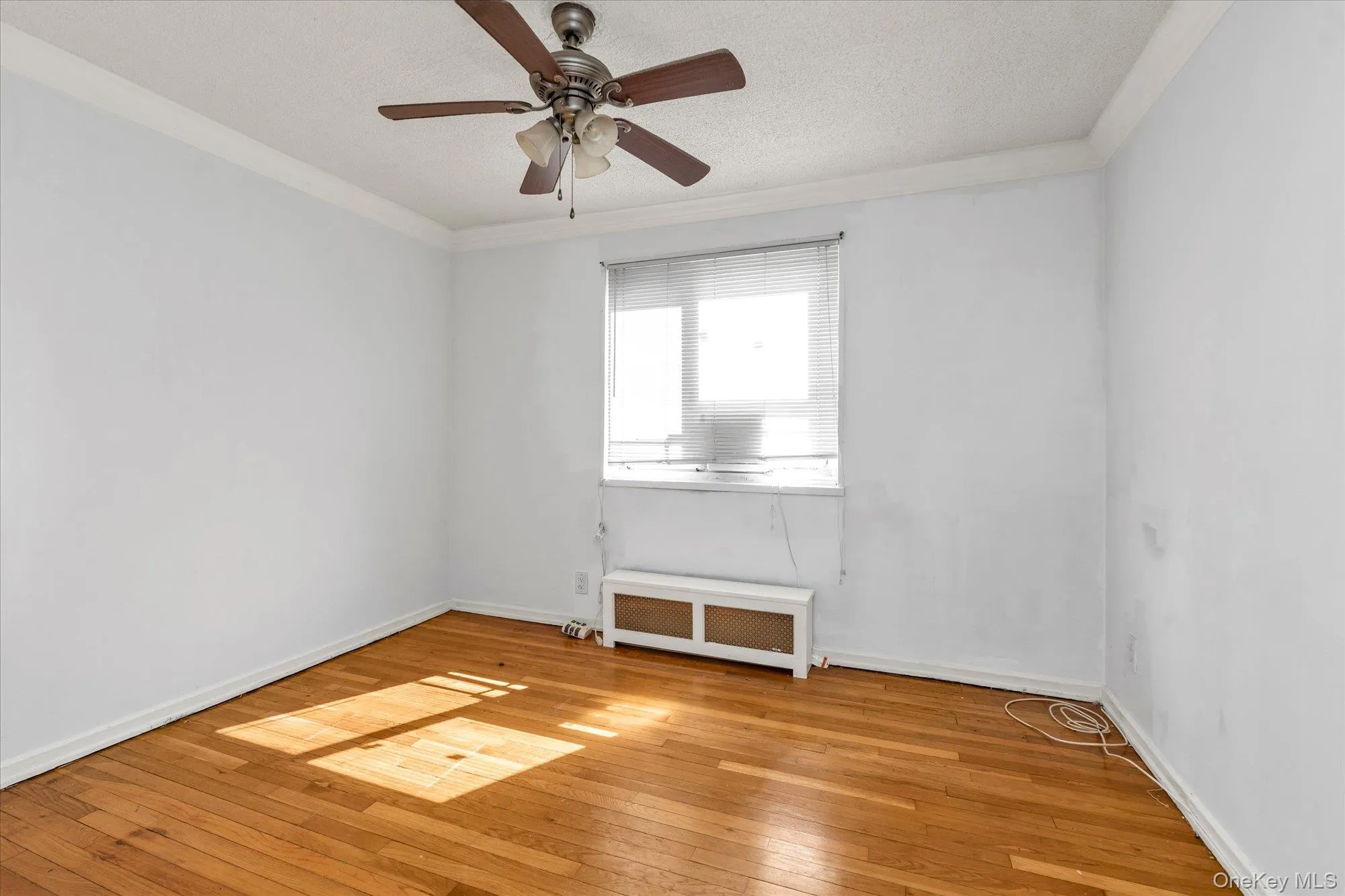 229-05 87th Avenue, New York, NY, 2 Bedrooms Bedrooms, 5 Rooms Rooms,1 BathroomBathrooms,Residential,For Rent,87th,0,1047249 229-05 87th Avenue, New York, NY, 2 Bedrooms Bedrooms, 5 Rooms Rooms,1 BathroomBathrooms,Residential,For Rent,87th,0,1047249
