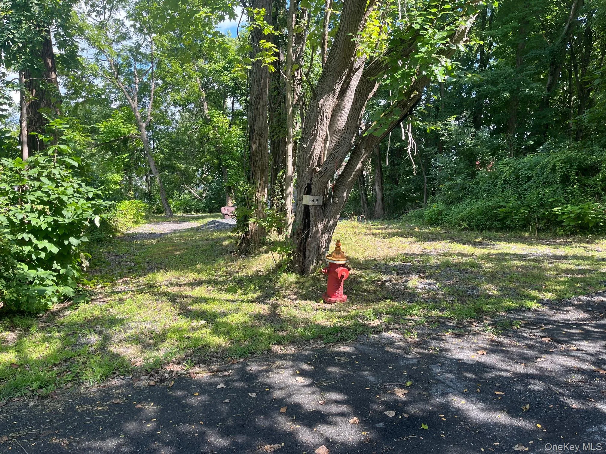 149 Sackett, Esopus, NY, ,Land,For Rent,Sackett,0,1047273 149 Sackett, Esopus, NY, ,Land,For Rent,Sackett,0,1047273