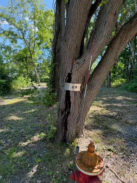 149 Sackett, Esopus, NY, ,Land,For Rent,Sackett,0,1047273 149 Sackett, Esopus, NY, ,Land,For Rent,Sackett,0,1047273