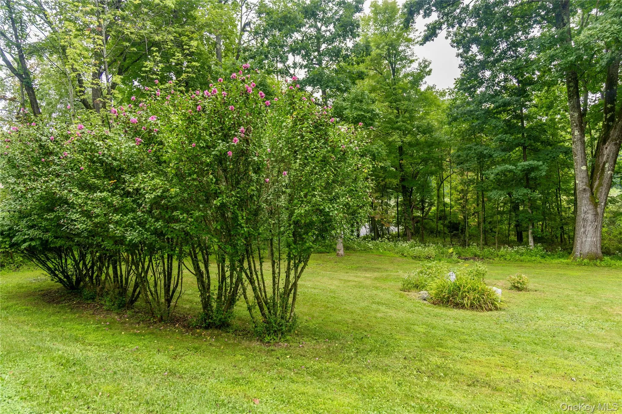 60 Briarwood Lane, North East, NY, 3 Bedrooms Bedrooms, 5 Rooms Rooms,2 BathroomsBathrooms,Residential,For Rent,Briarwood,0,1047331 60 Briarwood Lane, North East, NY, 3 Bedrooms Bedrooms, 5 Rooms Rooms,2 BathroomsBathrooms,Residential,For Rent,Briarwood,0,1047331