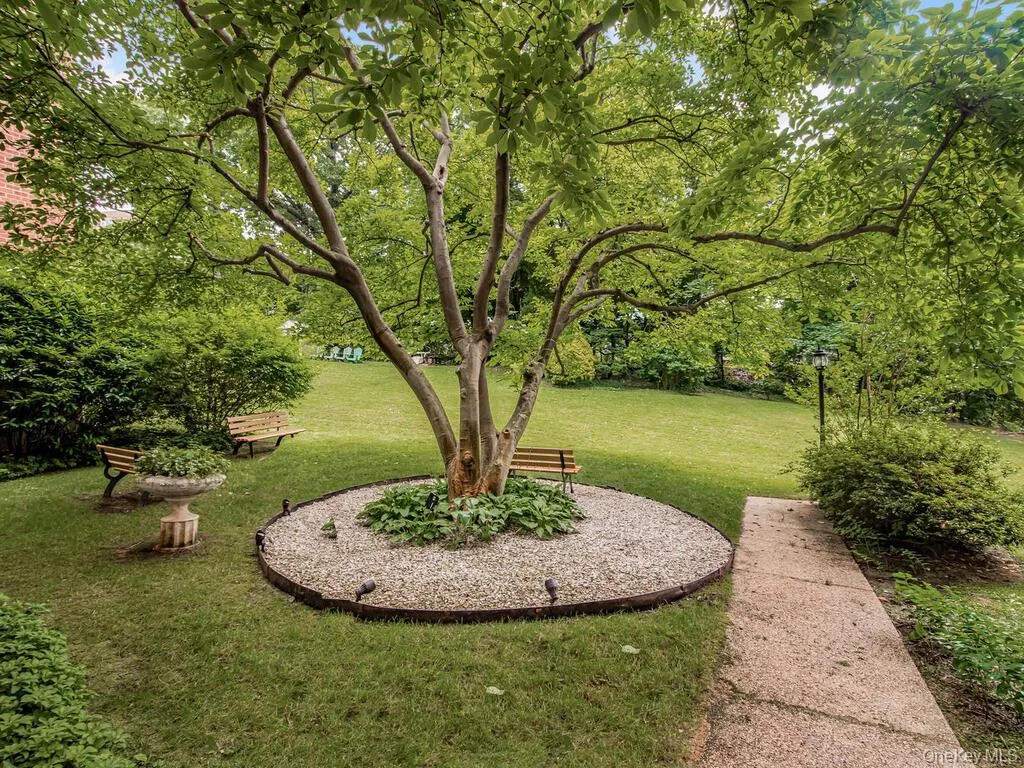 2550 Independence Avenue, New York, NY, 1 Bedroom Bedrooms, 3 Rooms Rooms,1 BathroomBathrooms,Residential,For Rent,Independence,0,1047351 2550 Independence Avenue, New York, NY, 1 Bedroom Bedrooms, 3 Rooms Rooms,1 BathroomBathrooms,Residential,For Rent,Independence,0,1047351