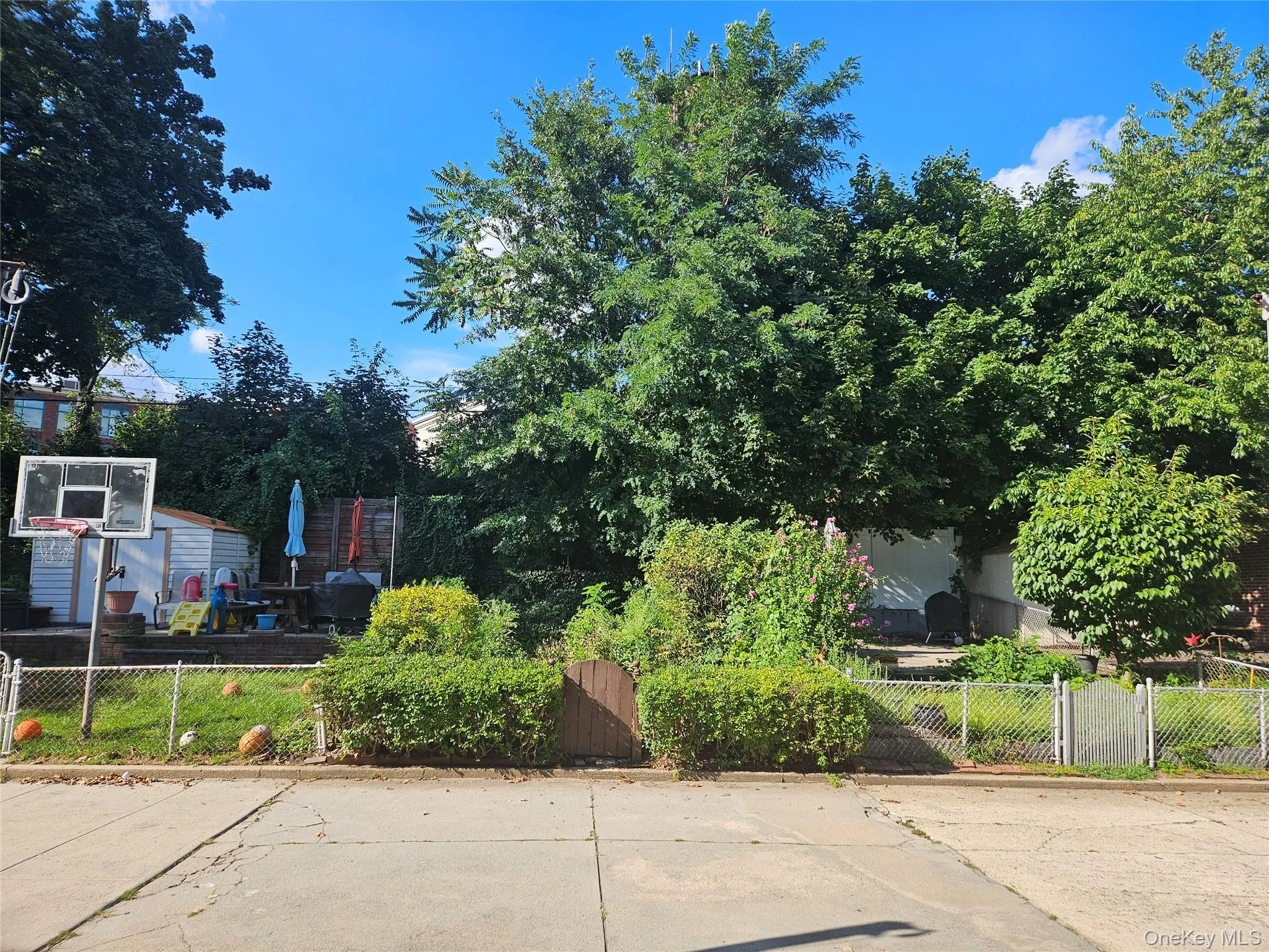 8121 77th Avenue, New York, NY, 3 Bedrooms Bedrooms, 6 Rooms Rooms,1 BathroomBathrooms,Residential,For Rent,77th,0,1047359 8121 77th Avenue, New York, NY, 3 Bedrooms Bedrooms, 6 Rooms Rooms,1 BathroomBathrooms,Residential,For Rent,77th,0,1047359