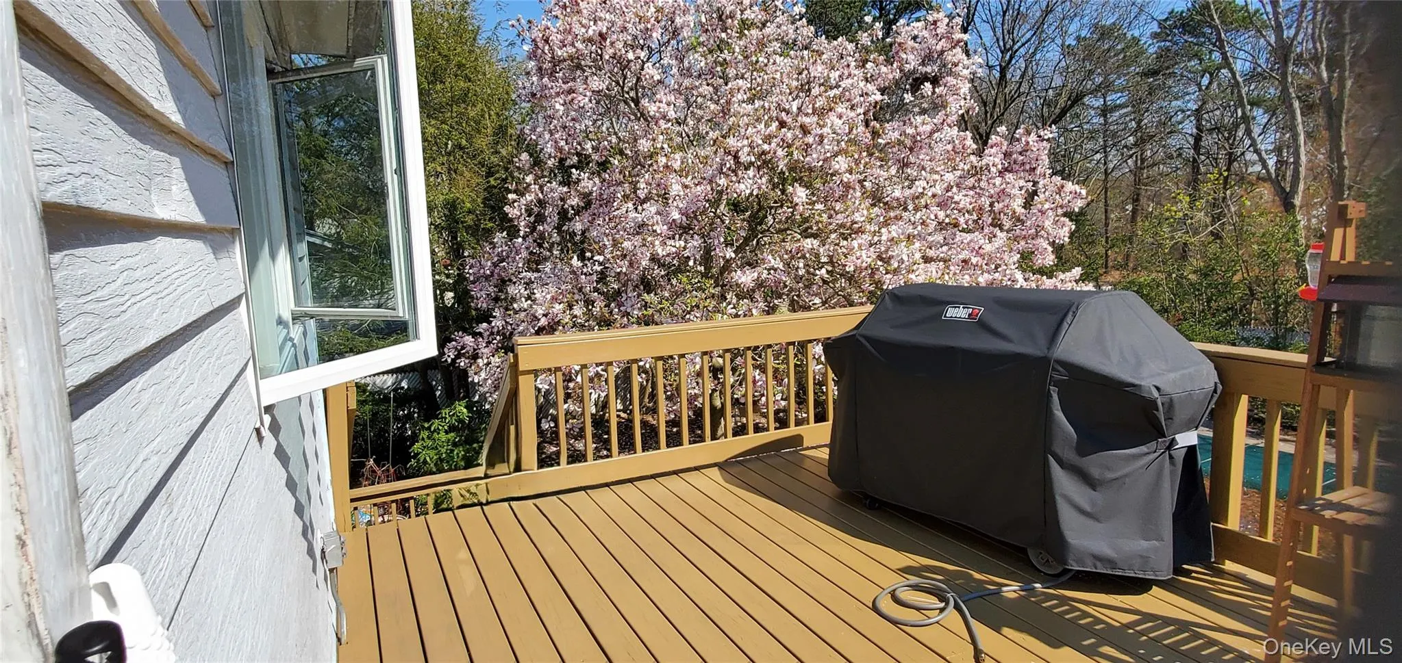 35 Kennedy Drive, Brookhaven, NY, 4 Bedrooms Bedrooms, 6 Rooms Rooms,1 BathroomBathrooms,Residential,For Rent,Kennedy,0,1047373 35 Kennedy Drive, Brookhaven, NY, 4 Bedrooms Bedrooms, 6 Rooms Rooms,1 BathroomBathrooms,Residential,For Rent,Kennedy,0,1047373