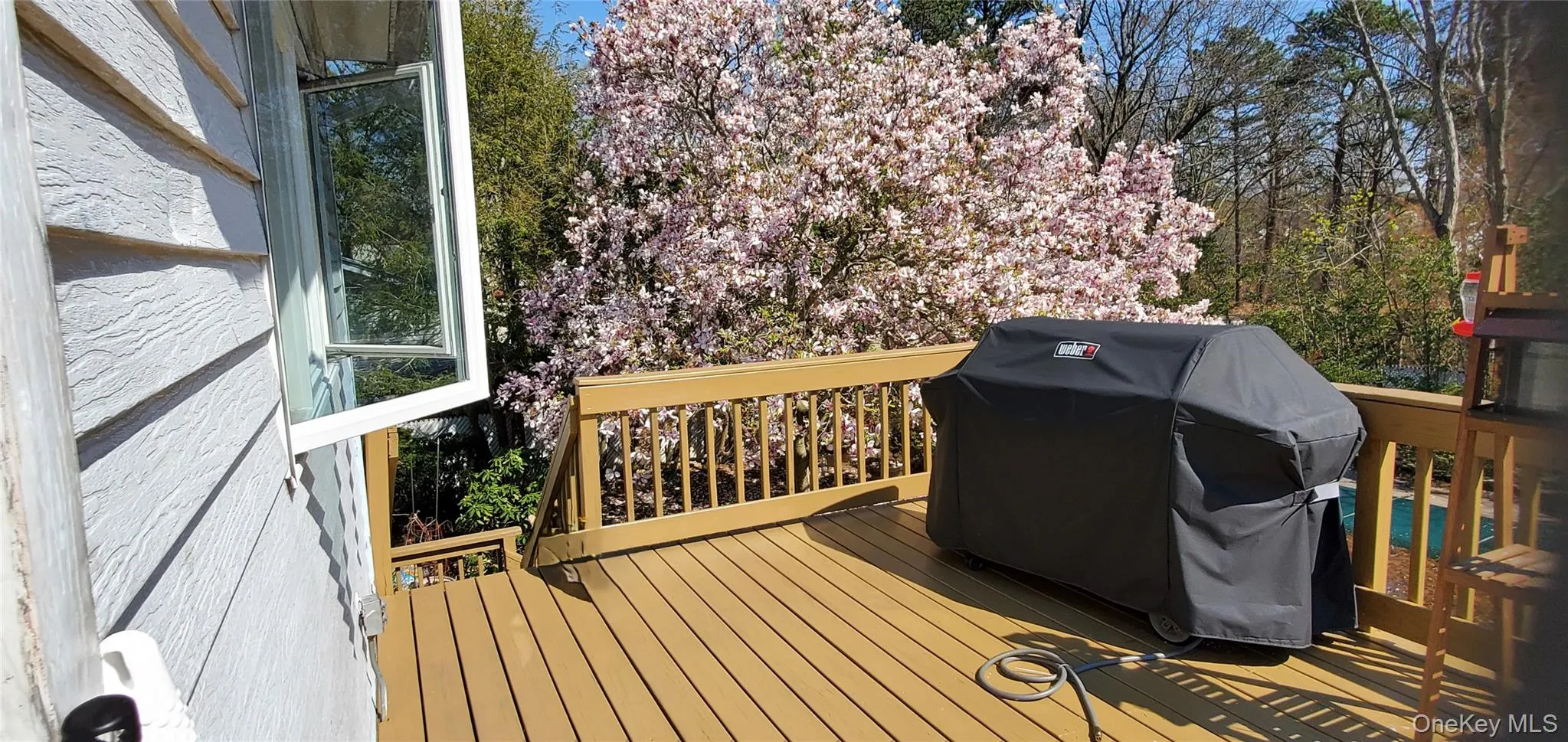 35 Kennedy Drive, Brookhaven, NY, 4 Bedrooms Bedrooms, 6 Rooms Rooms,1 BathroomBathrooms,Residential,For Rent,Kennedy,0,1047373 35 Kennedy Drive, Brookhaven, NY, 4 Bedrooms Bedrooms, 6 Rooms Rooms,1 BathroomBathrooms,Residential,For Rent,Kennedy,0,1047373